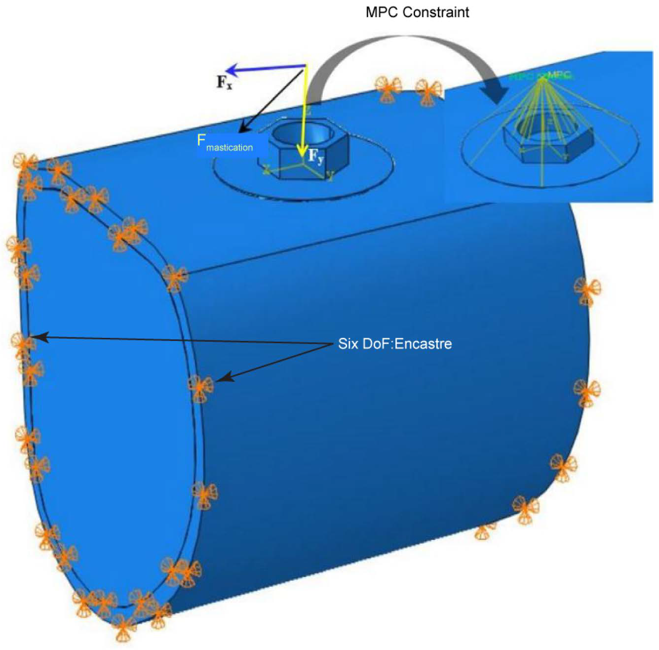 Oral 04 00040 g002 Oral 04 00040 g002