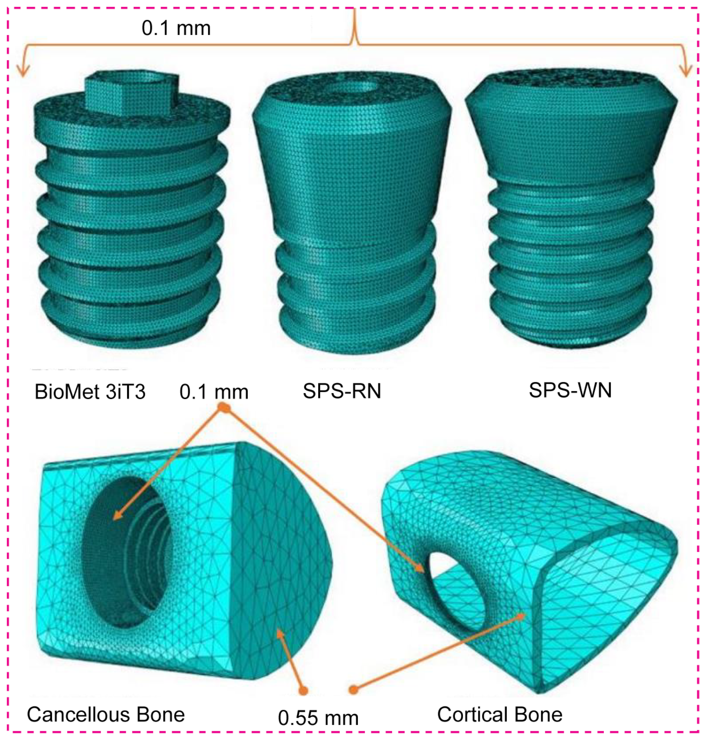 Oral 04 00040 g003 Oral 04 00040 g003