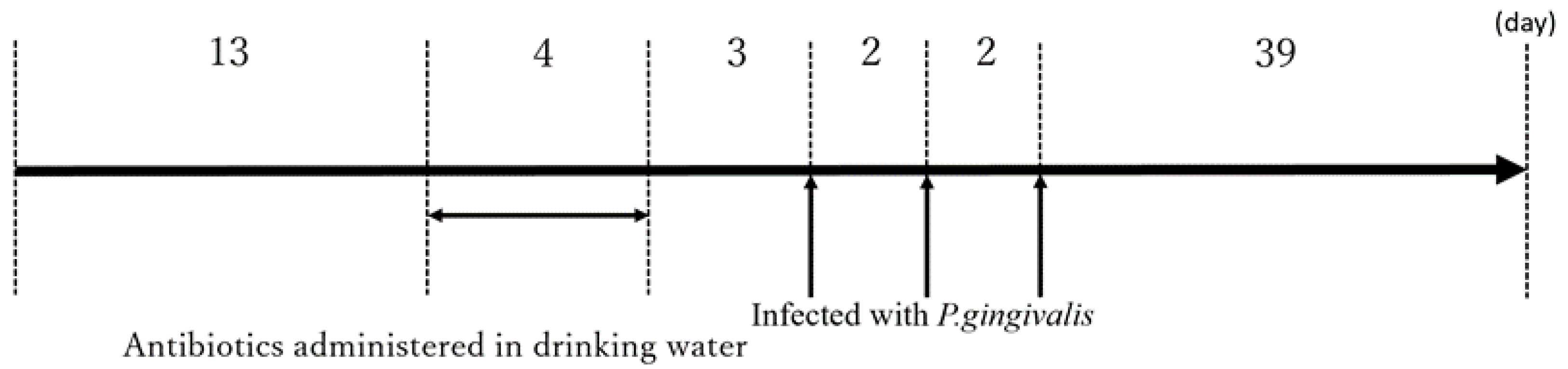 Oral 05 00051 g001 Oral 05 00051 g001