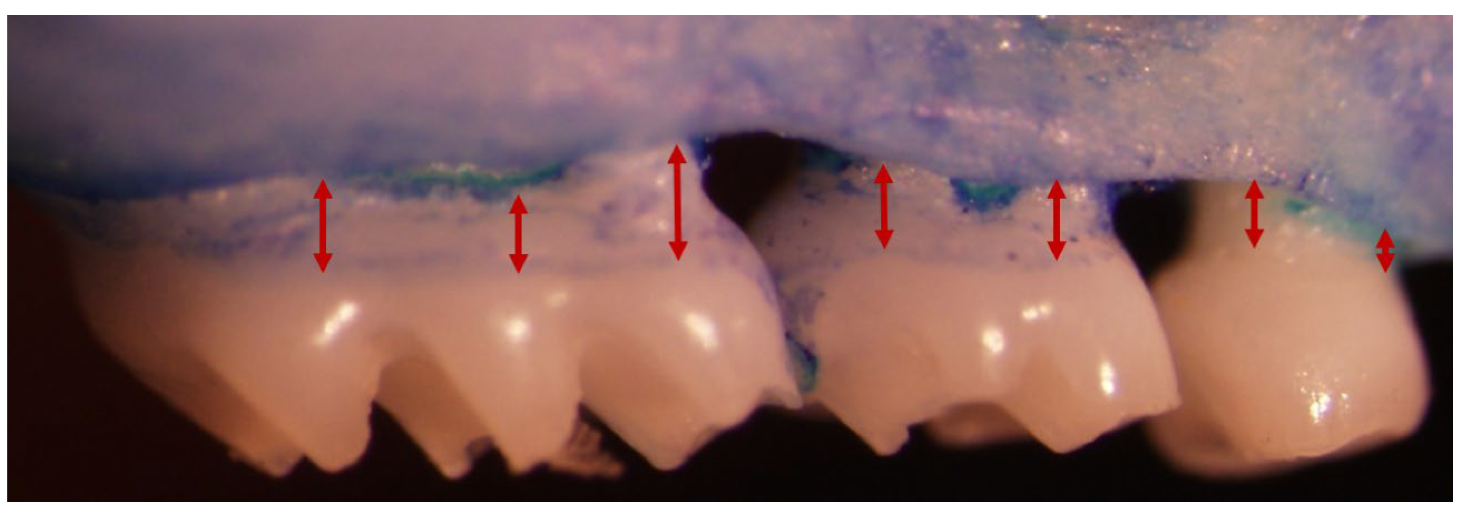 Oral 05 00051 g002 Oral 05 00051 g002