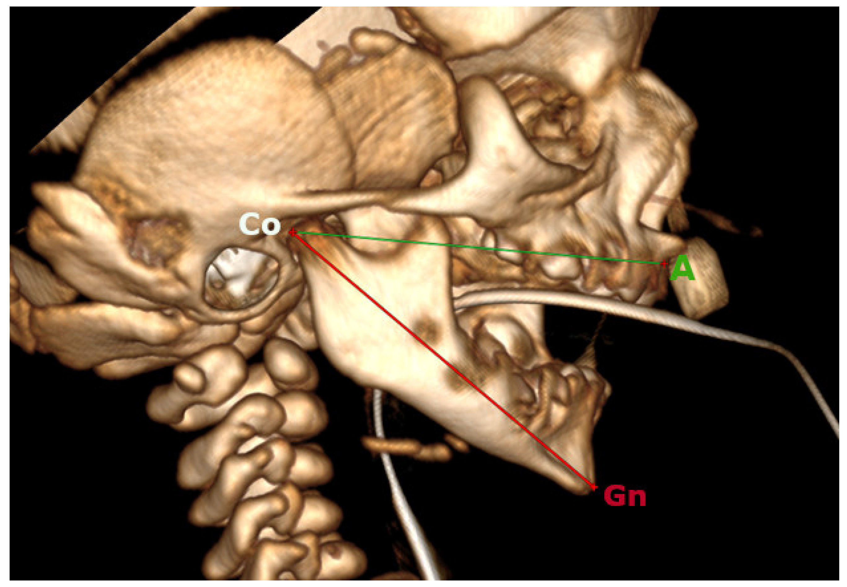 Oral 05 00058 g001 Oral 05 00058 g001