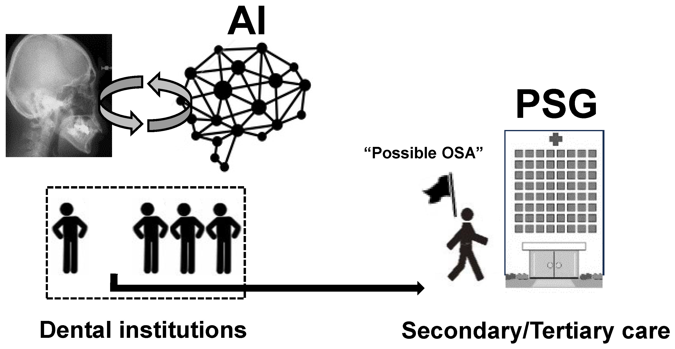 Oral 05 00076 g001 Oral 05 00076 g001