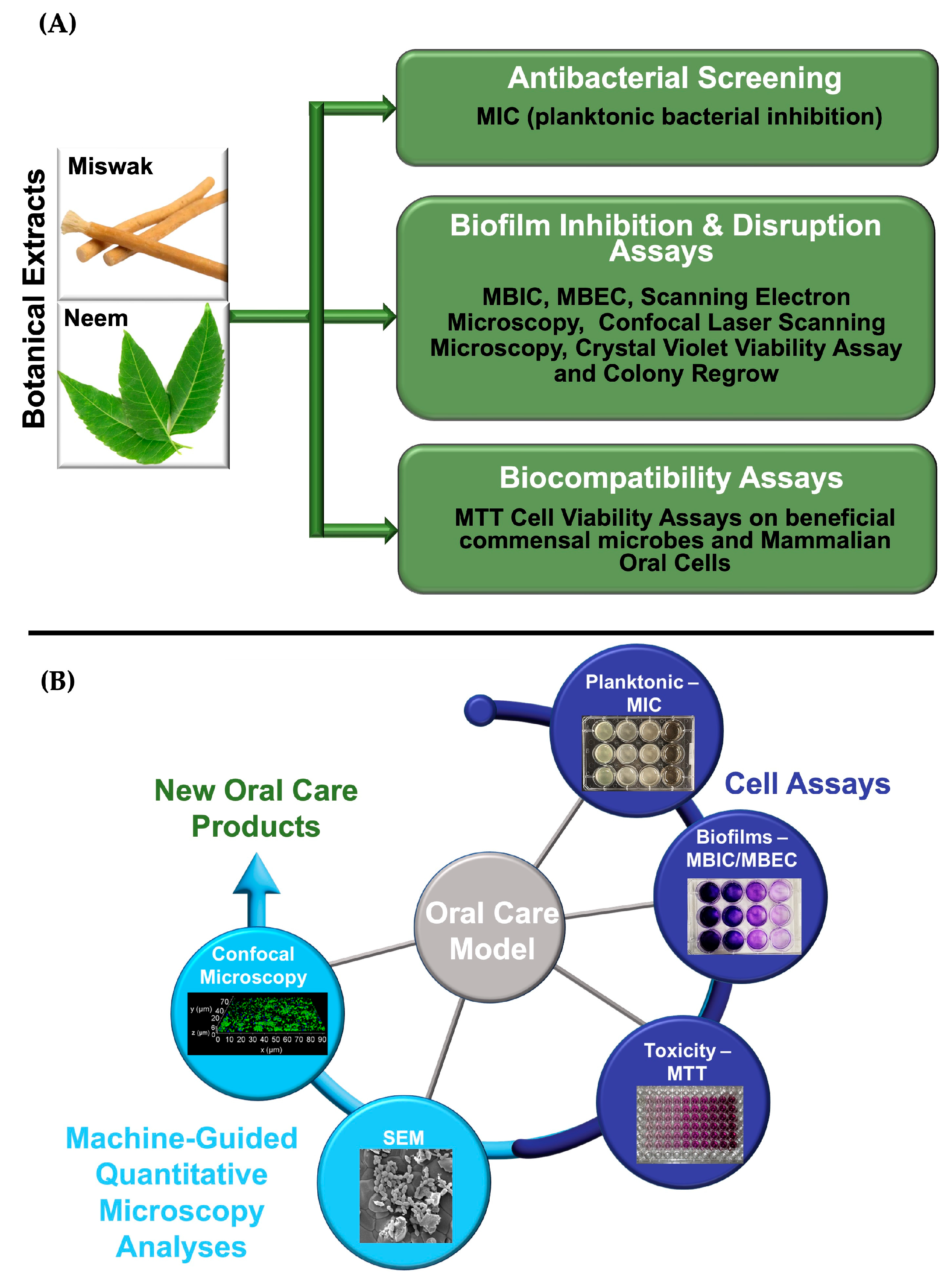 Oral 05 00089 g002 Oral 05 00089 g002