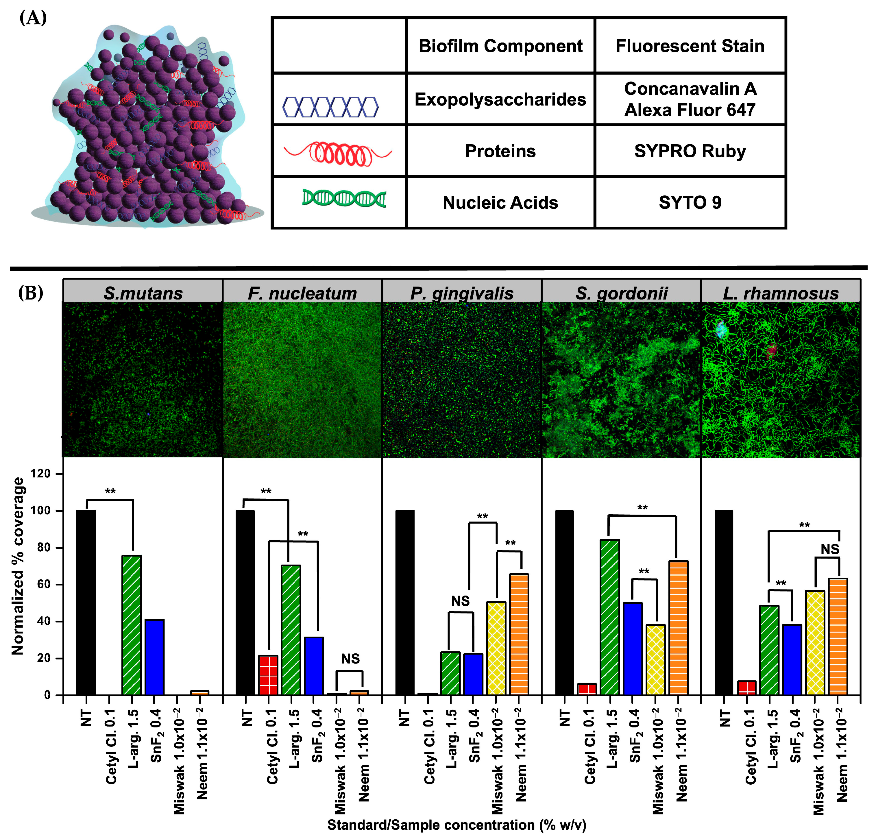 Oral 05 00089 g007 Oral 05 00089 g007