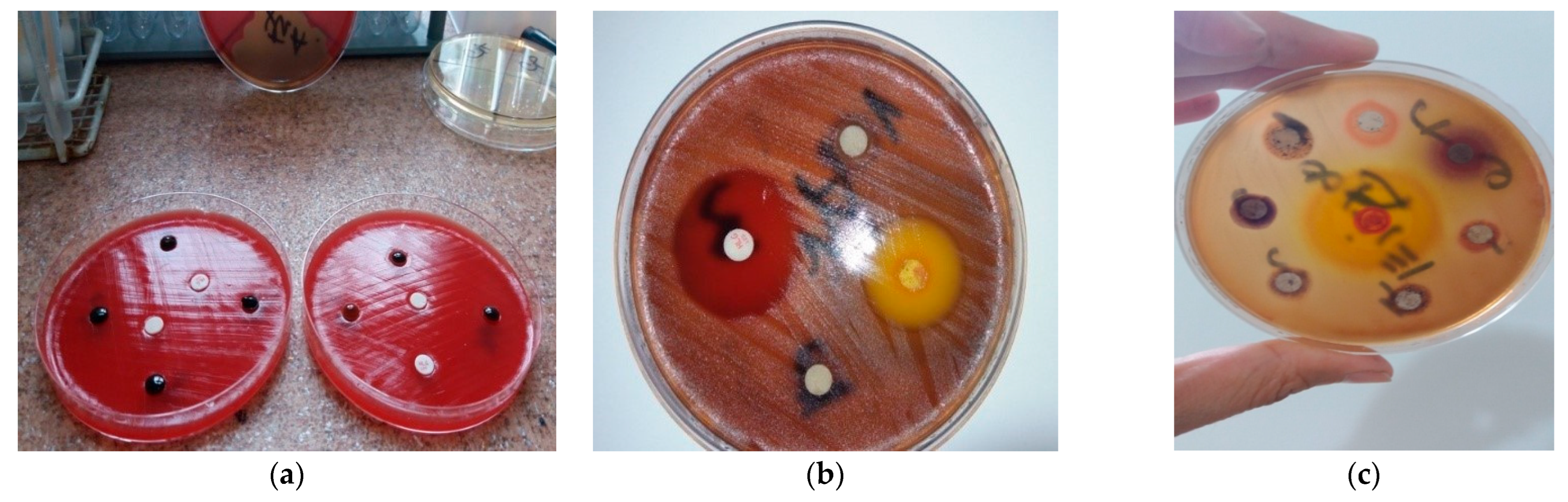 Oral 05 00096 g001 Oral 05 00096 g001