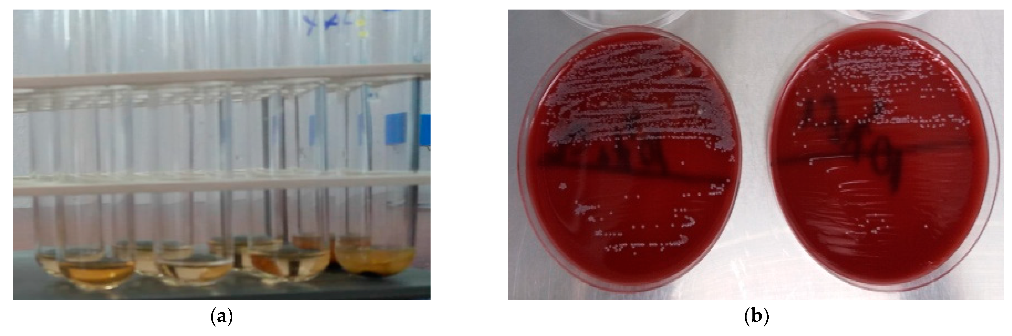 Oral 05 00096 g002 Oral 05 00096 g002