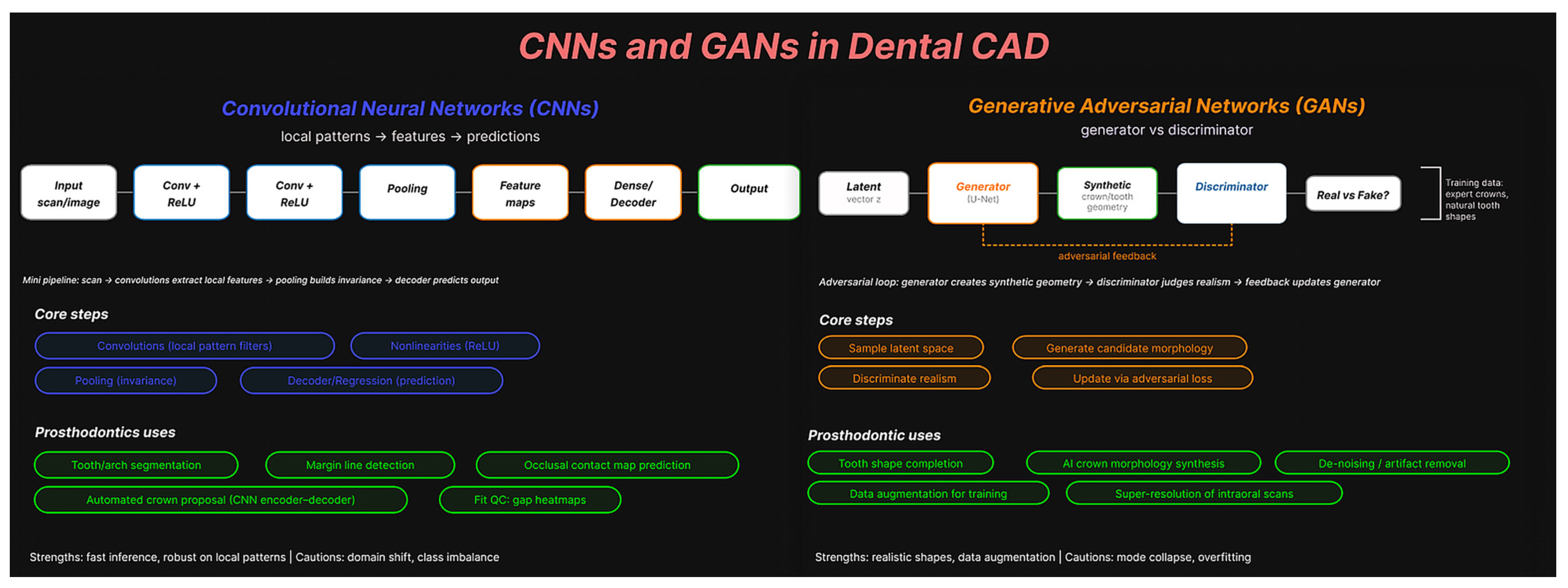 Oral 06 00016 g001 Oral 06 00016 g001