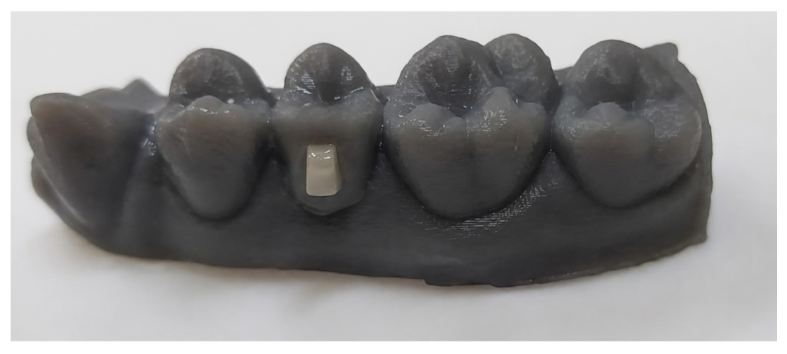 Oral 06 00090 g001