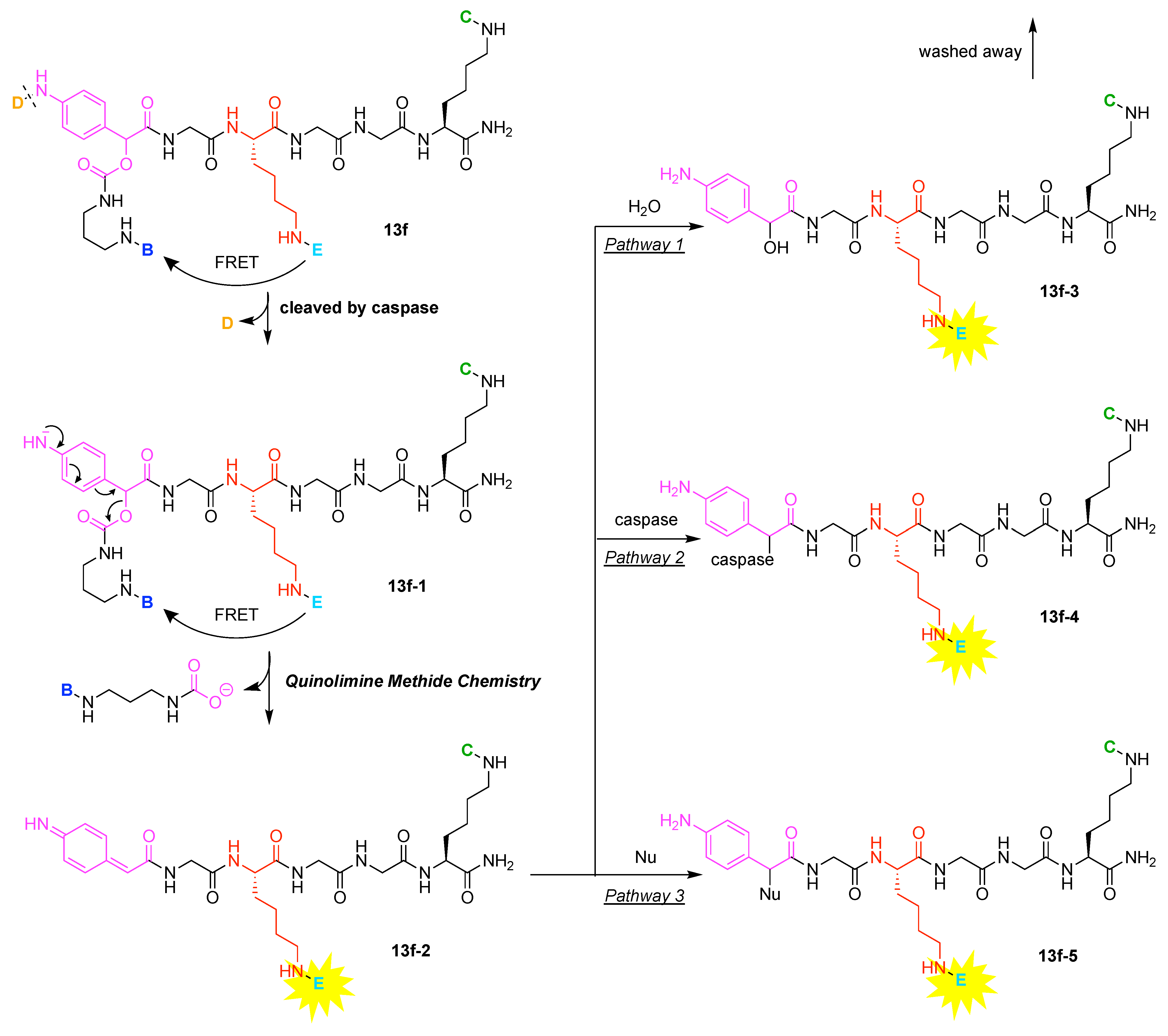 Organics 02 00013 g066 Organics 02 00013 g066