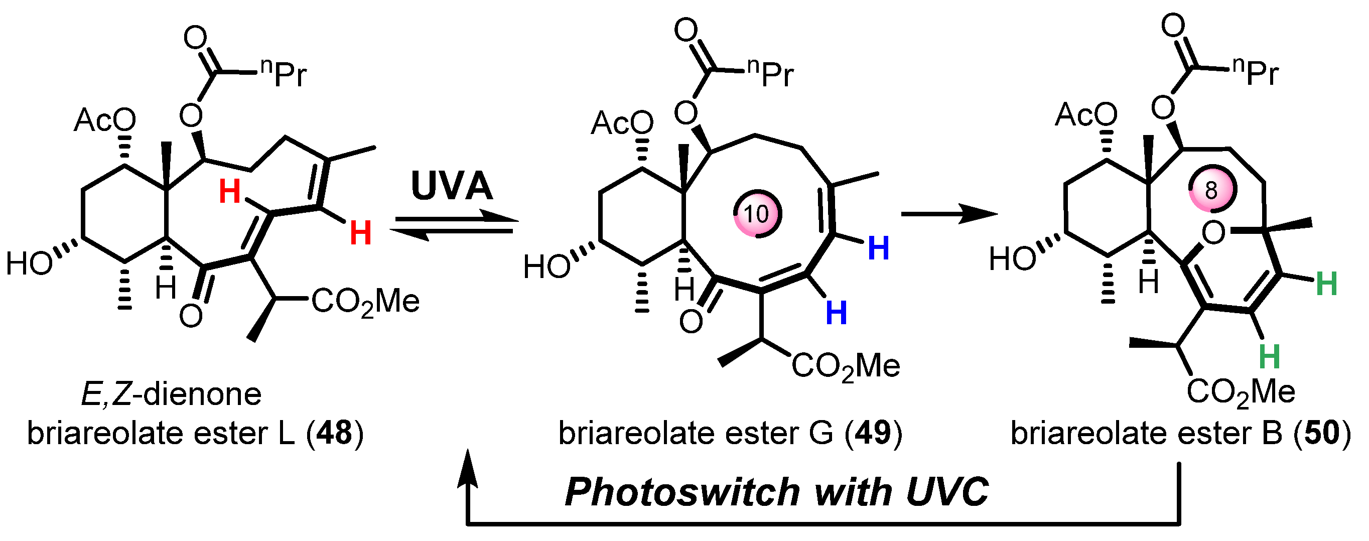 Organics 02 00021 sch011a Organics 02 00021 sch011a