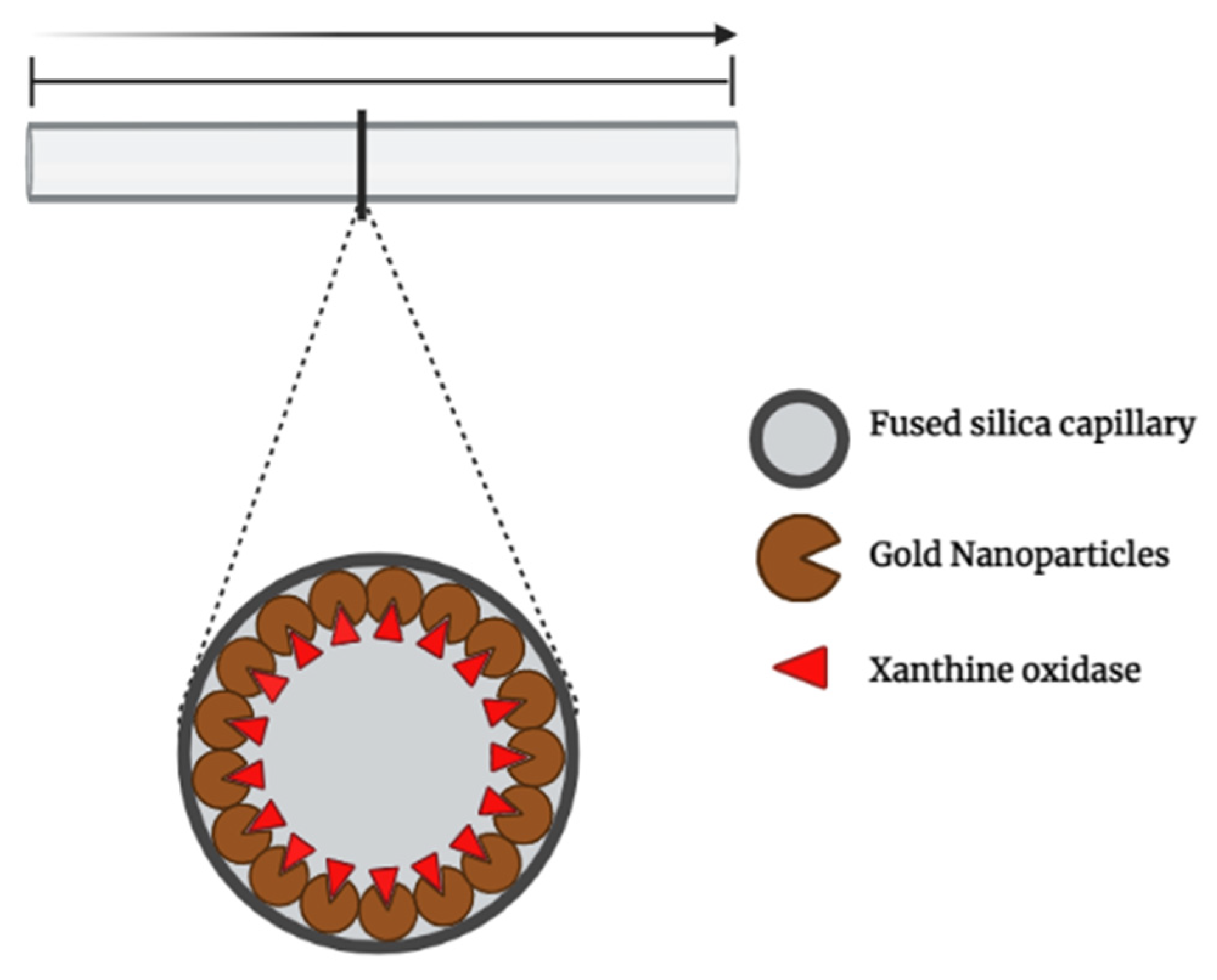 Organics 03 00026 g003