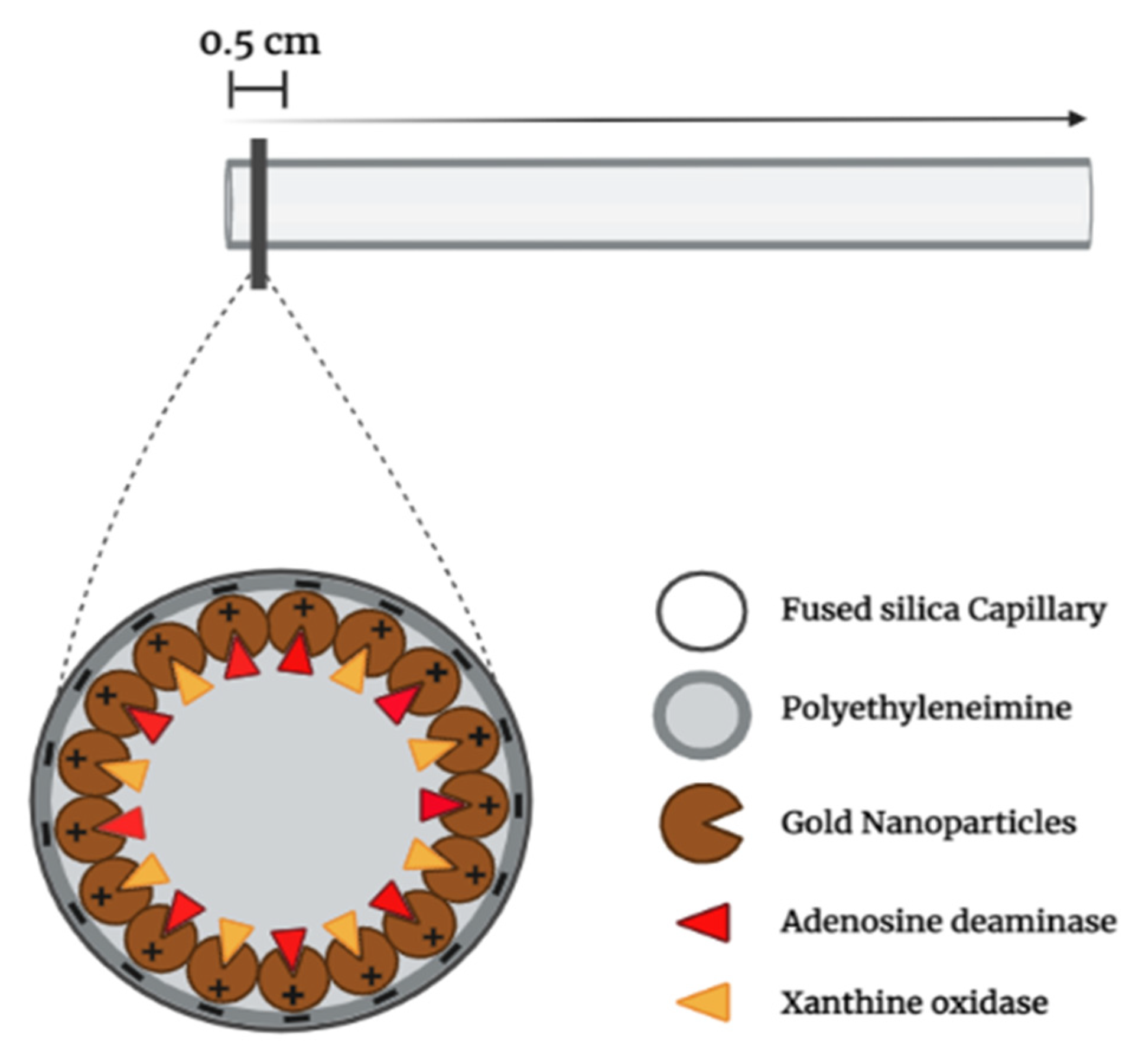 Organics 03 00026 g004