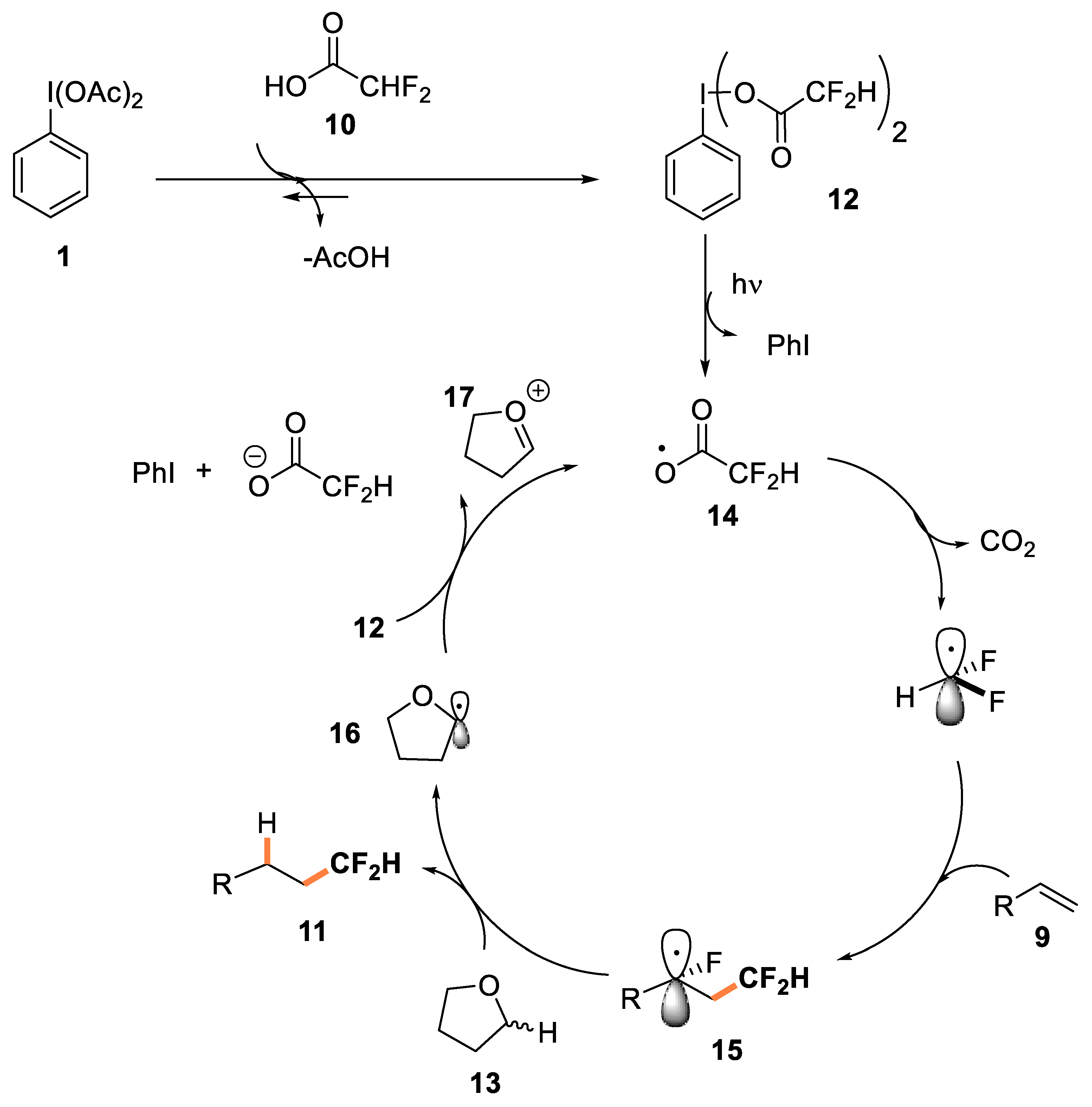 Organics 04 00001 g003