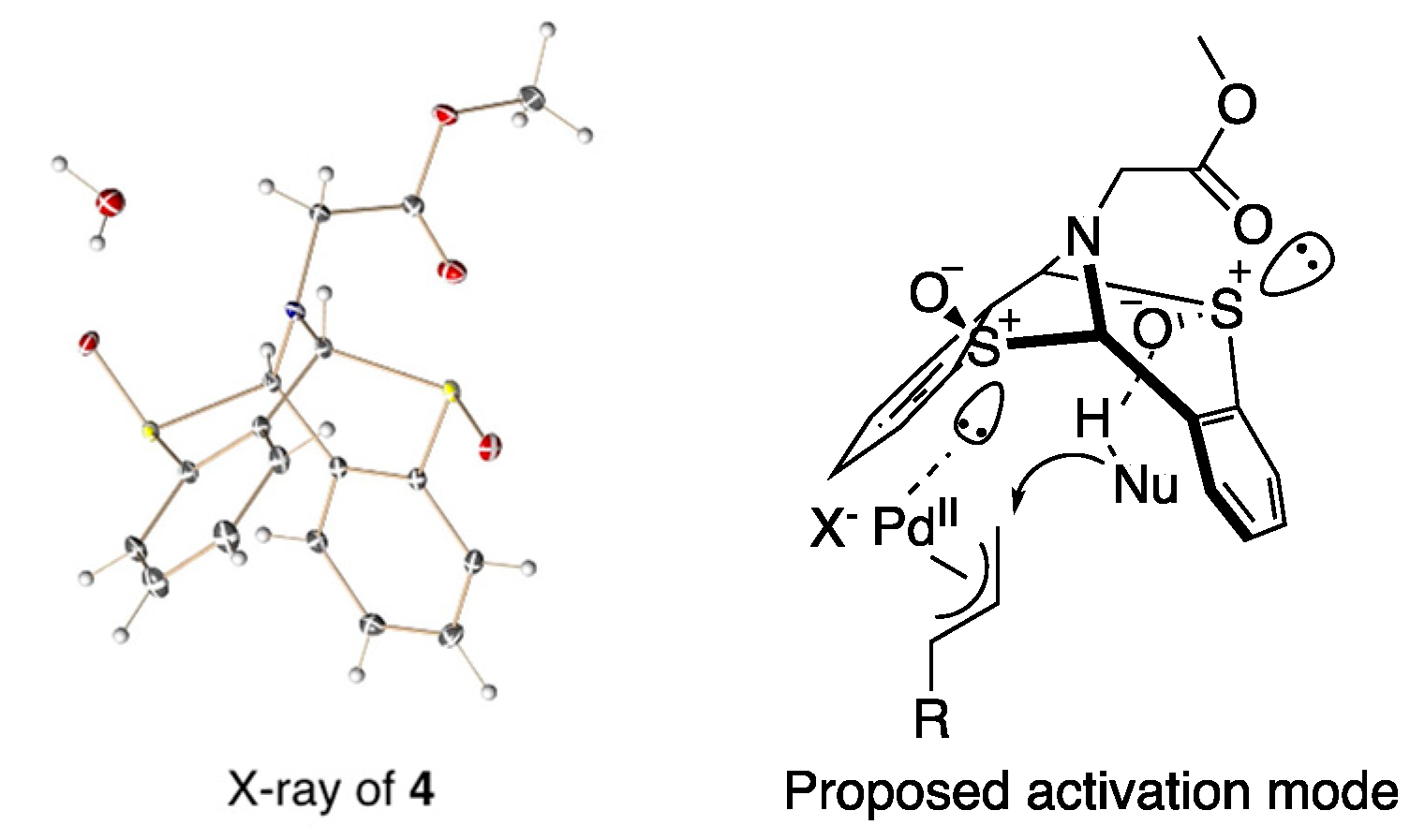 Organics 04 00023 g002 Organics 04 00023 g002