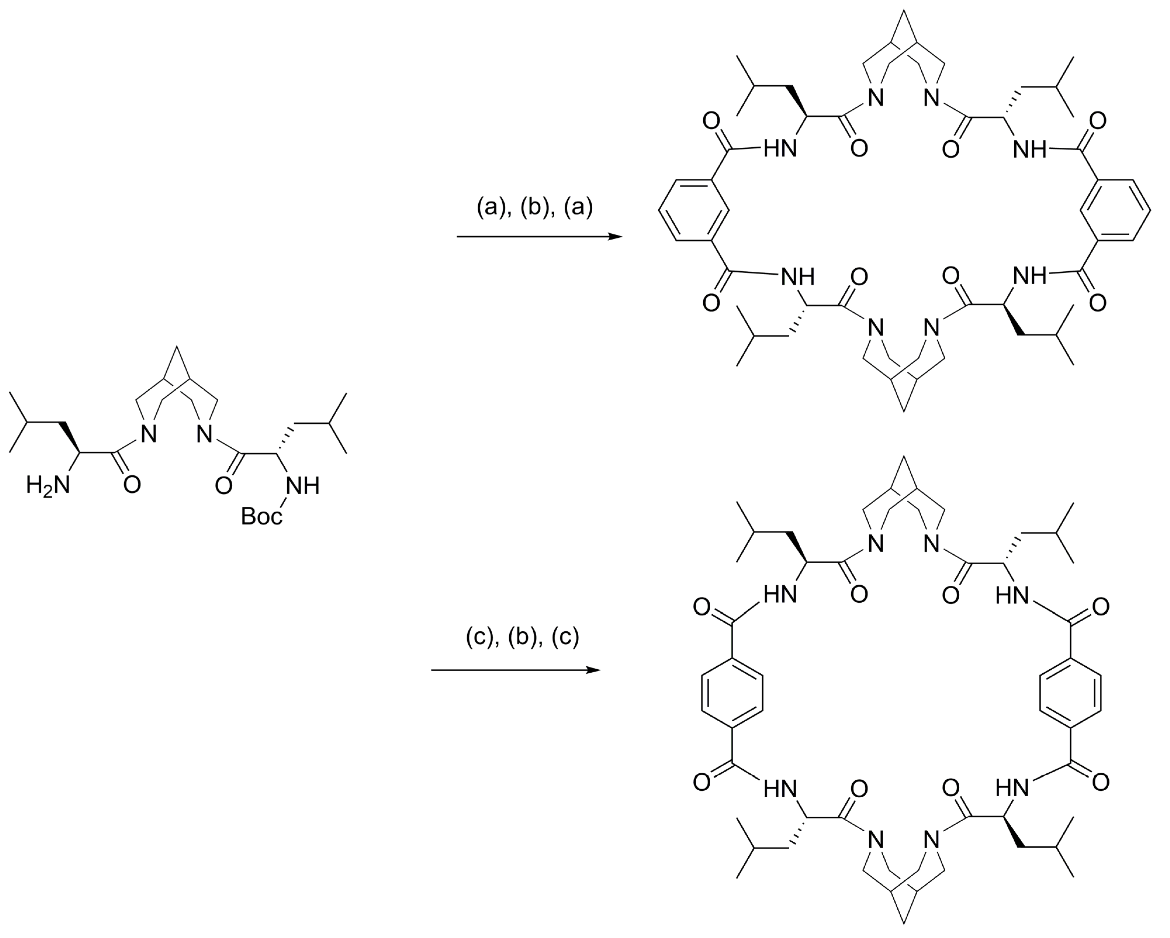 Organics 04 00030 sch011 Organics 04 00030 sch011
