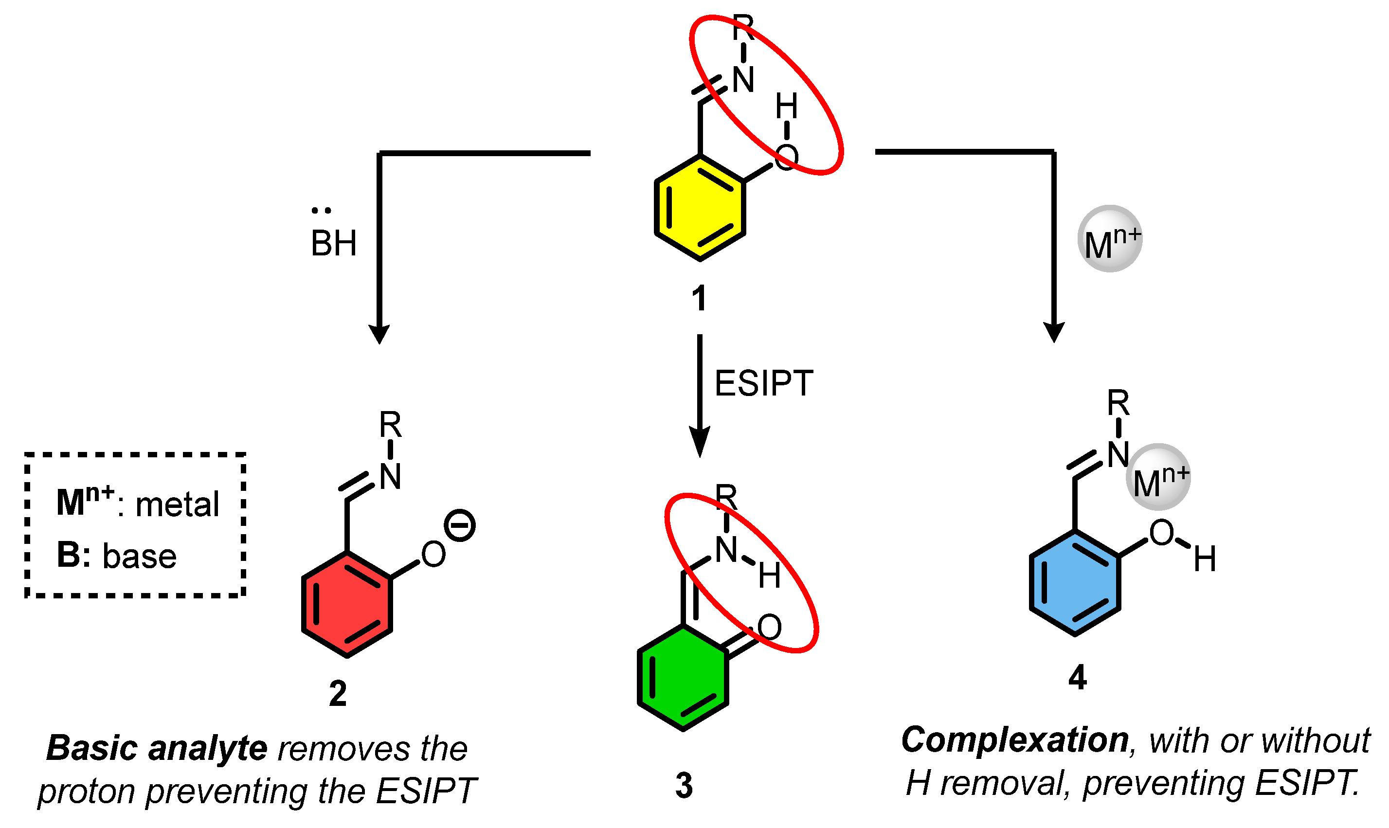 Organics 05 00008 sch002
