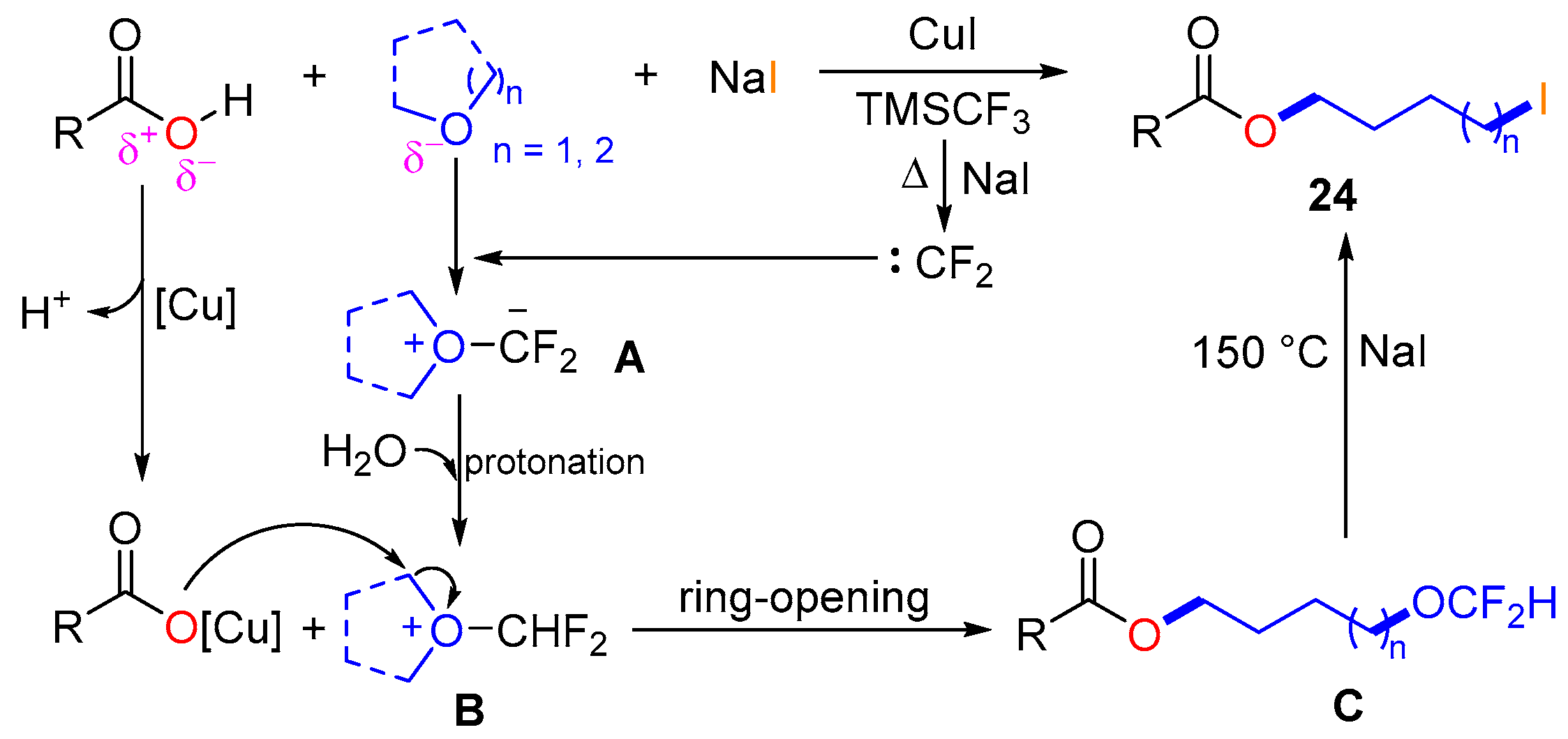 Organics 05 00011 sch011