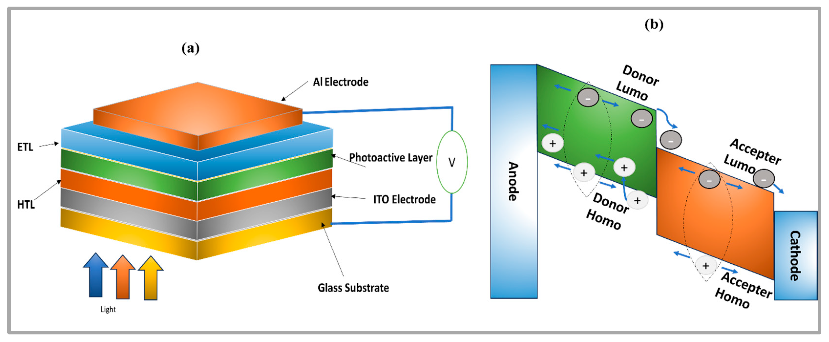 Organics 05 00028 g011