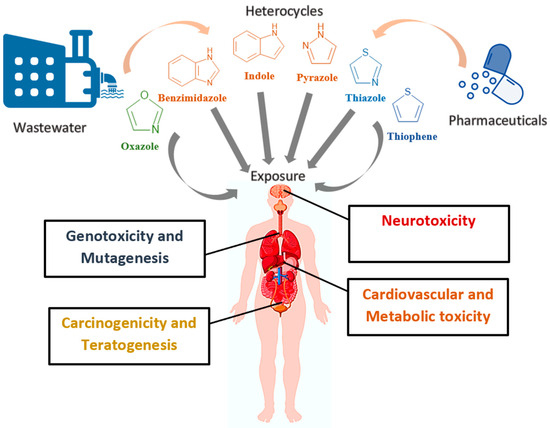 Environmental Fate, Ecotoxicity, and Remediation of