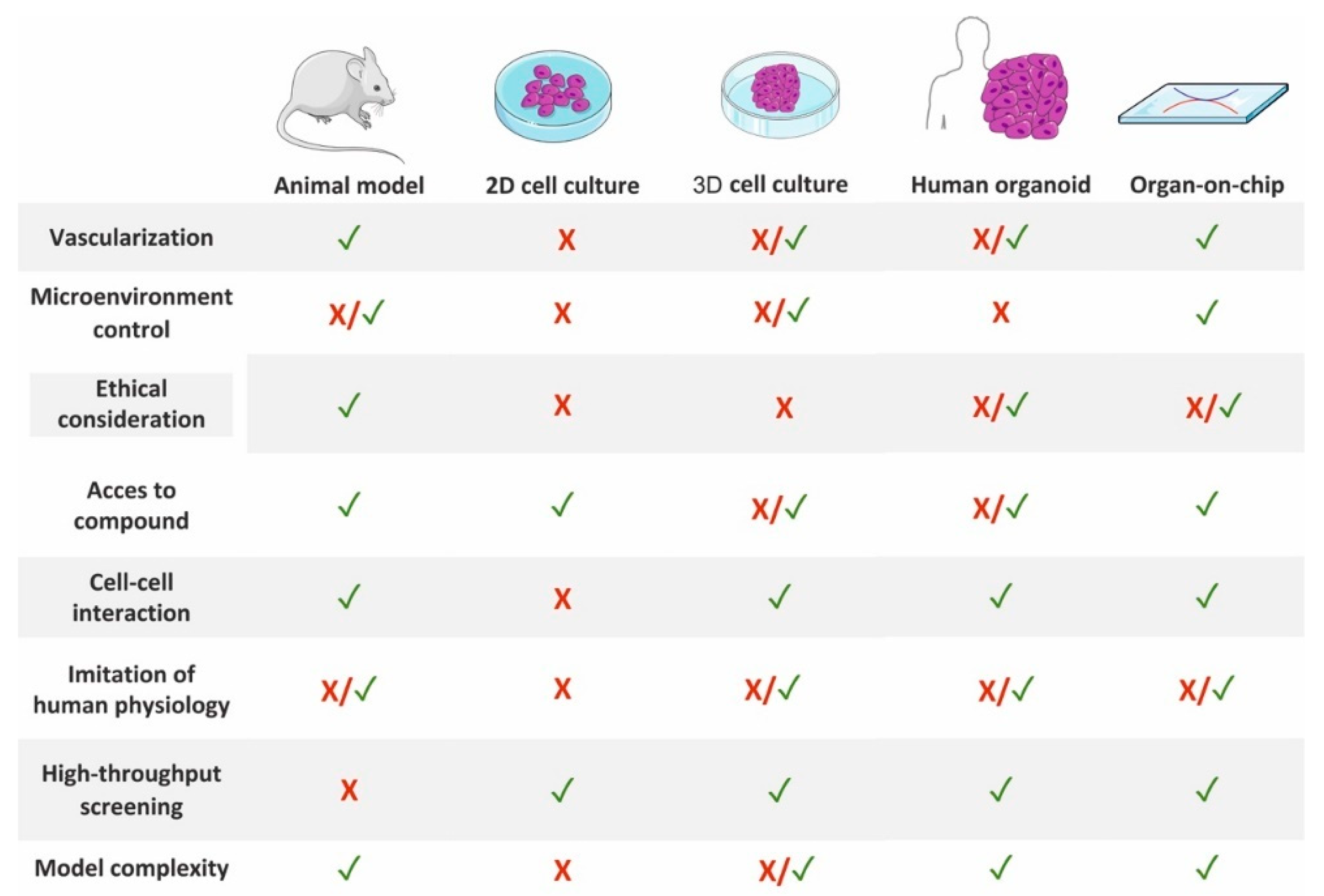 Organoids 01 00007 g001