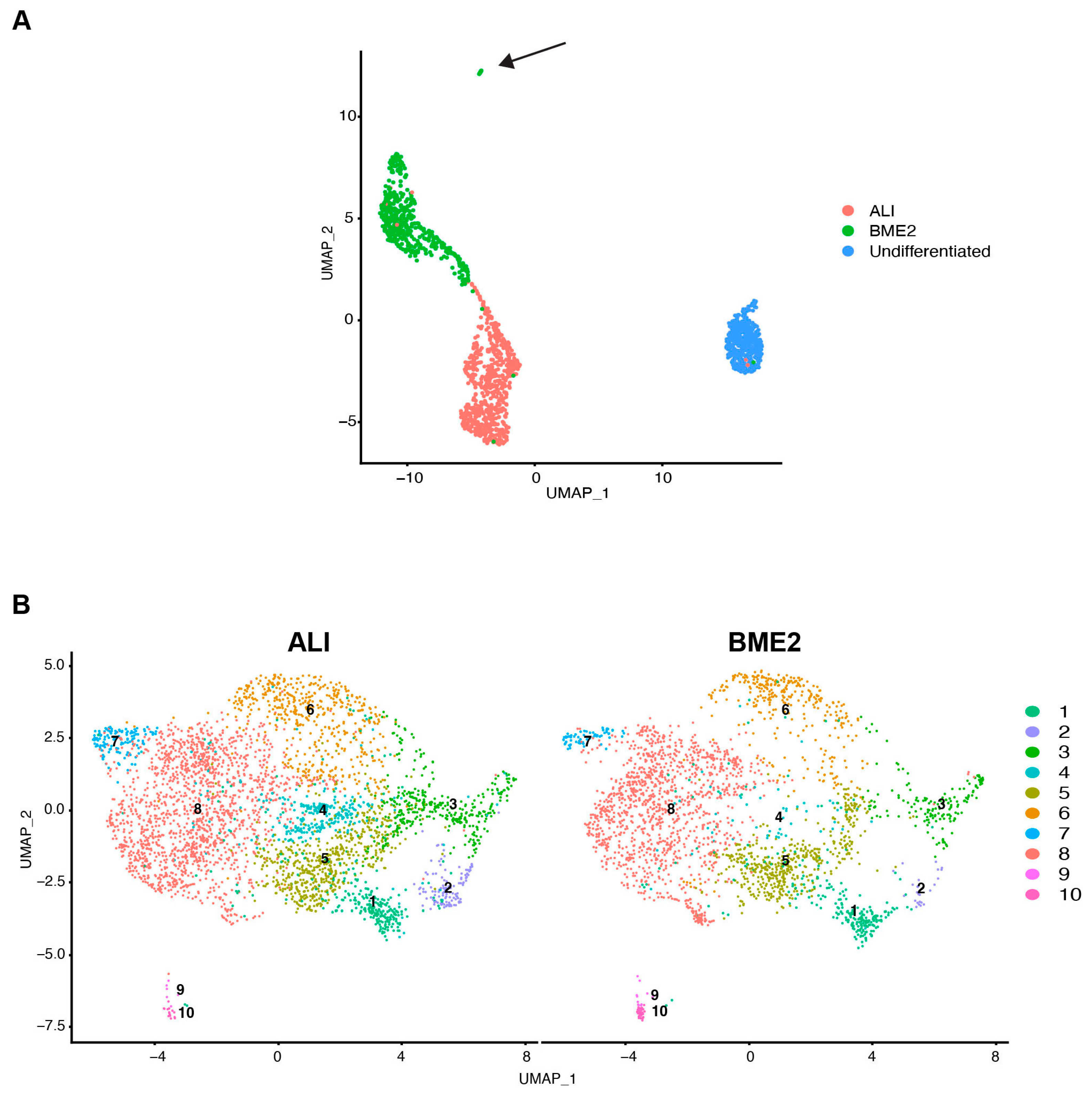 Organoids 02 00007 g002