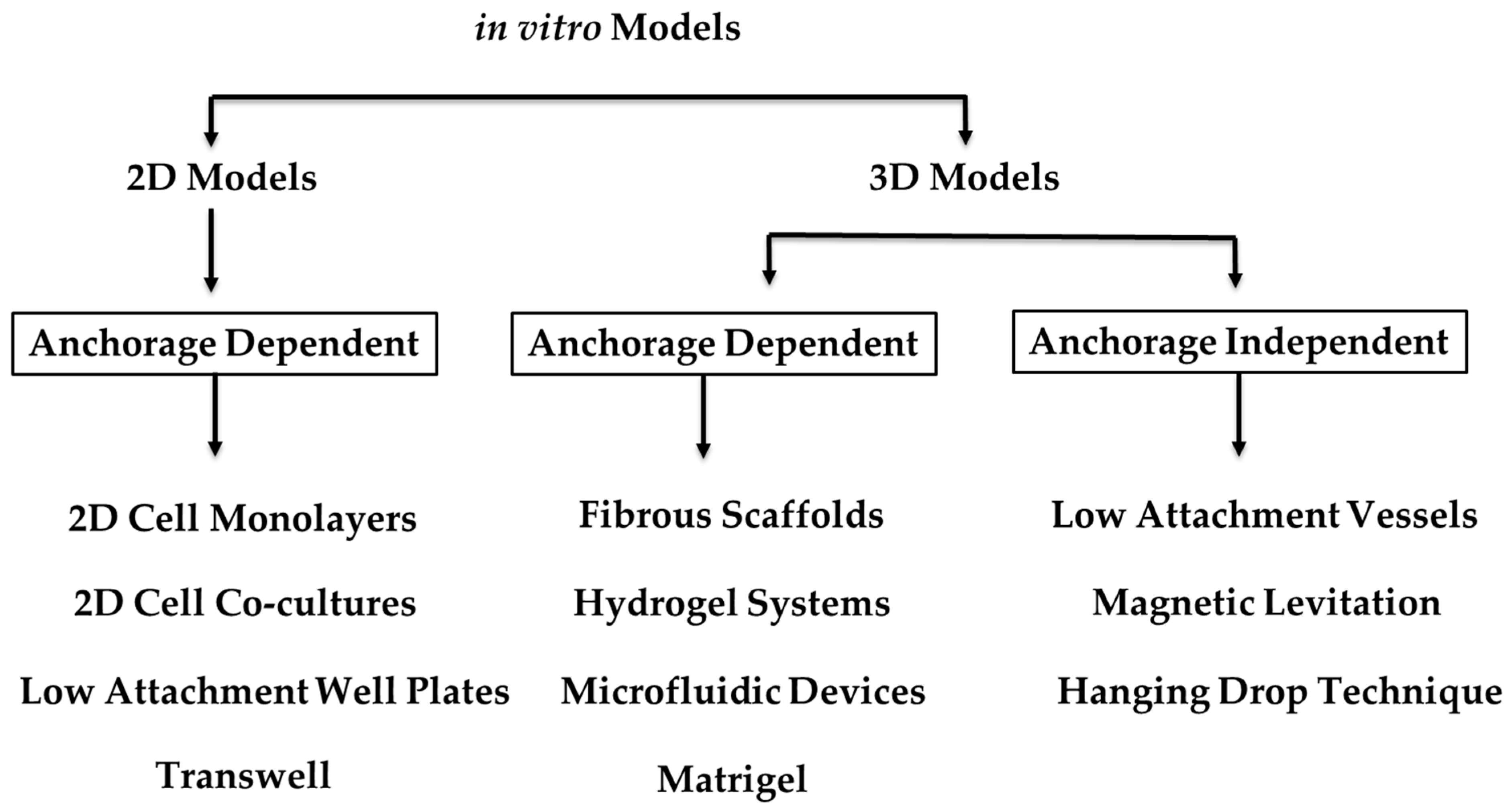 Organoids 02 00010 g002 Organoids 02 00010 g002