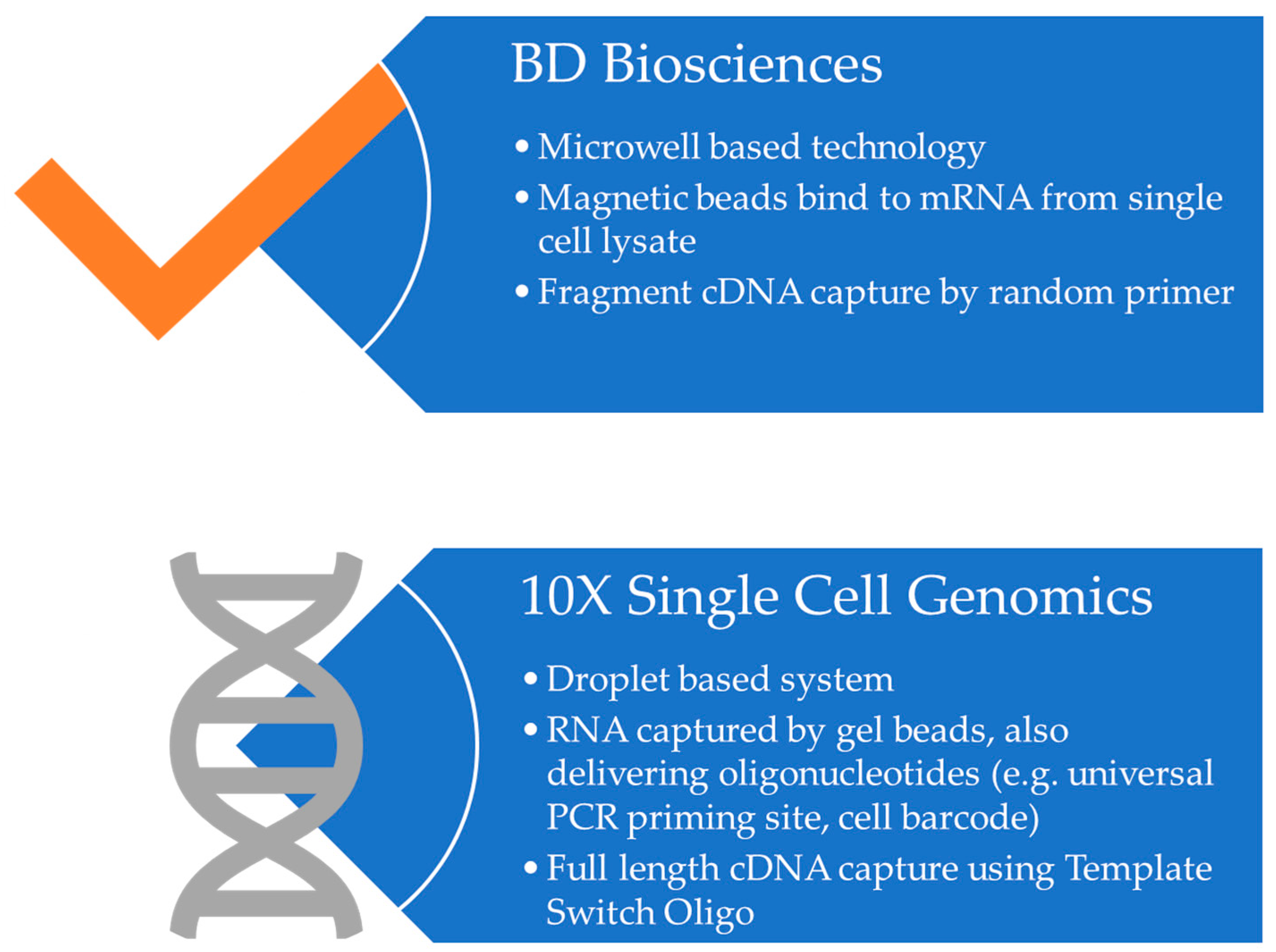 Organoids 02 00010 g003 Organoids 02 00010 g003