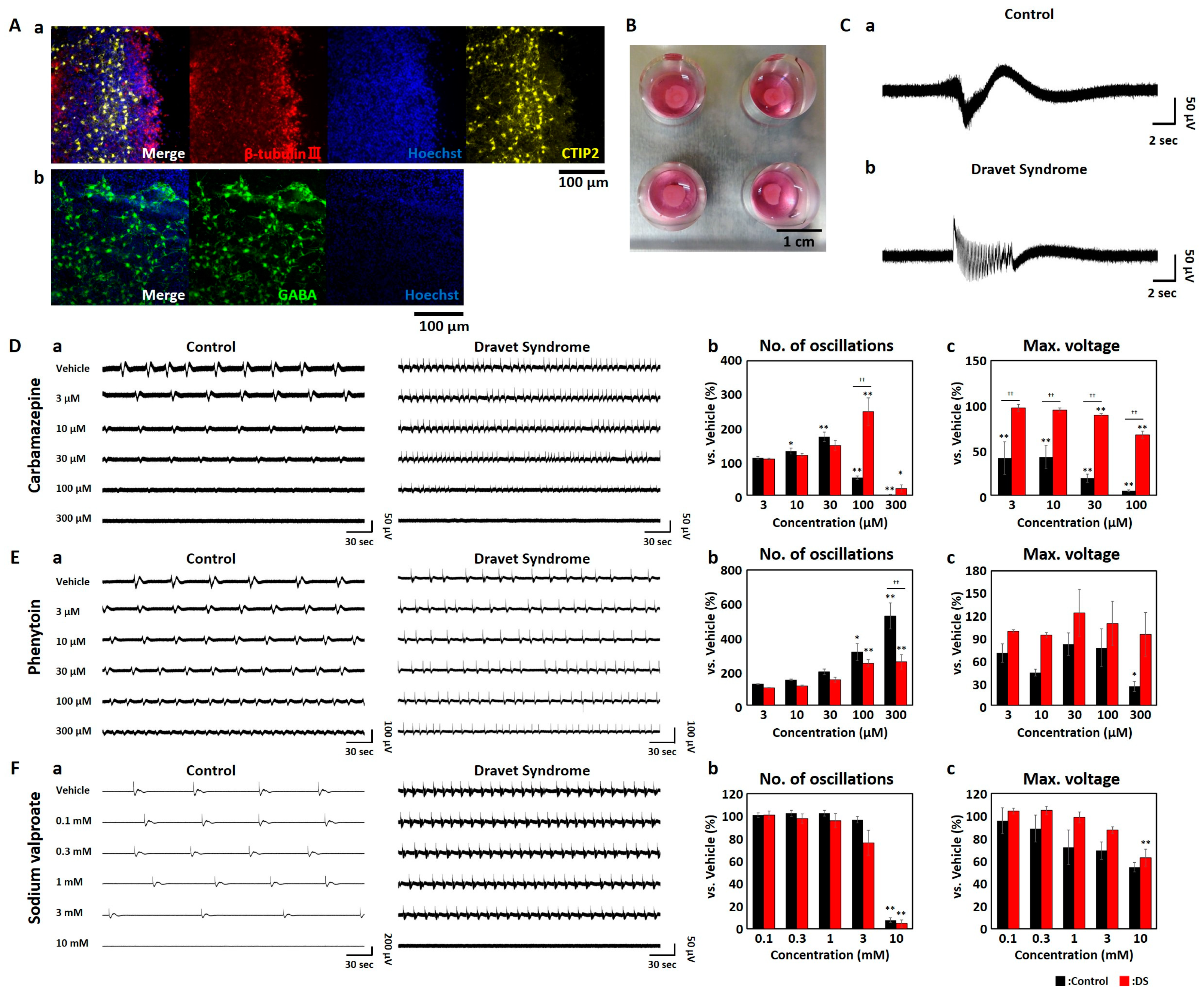 Organoids 02 00014 g001