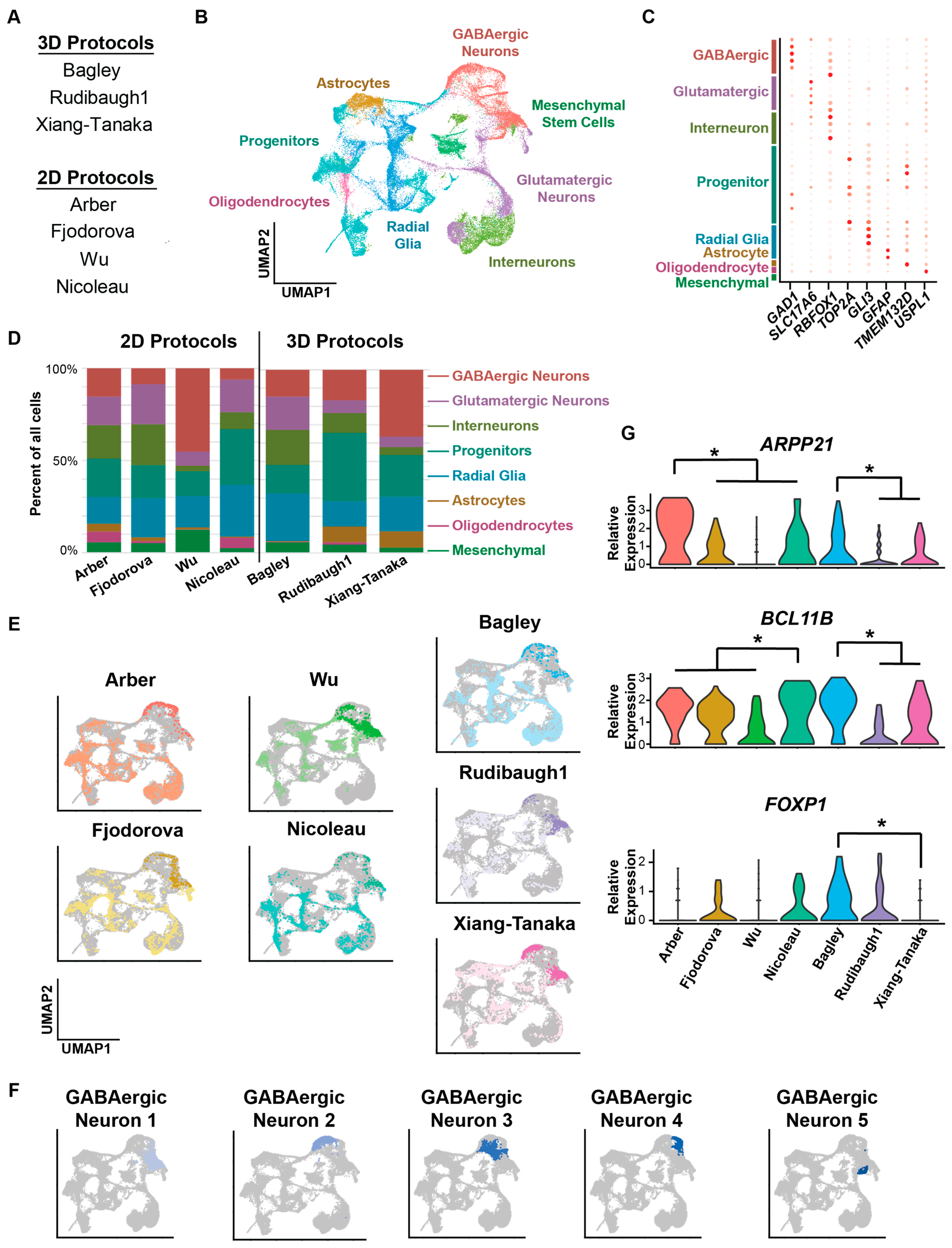 Organoids 03 00009 g002