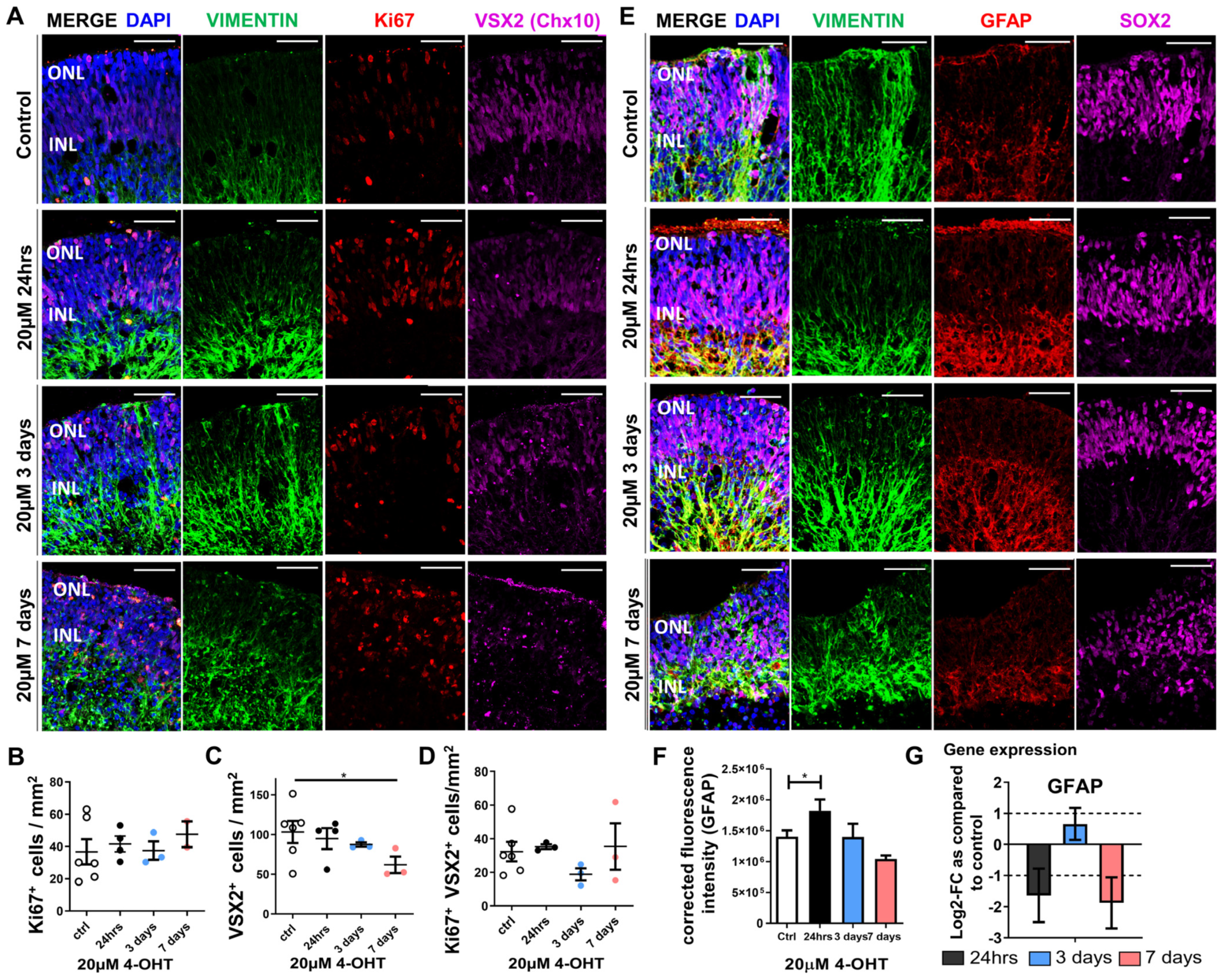 Organoids 03 00010 g003