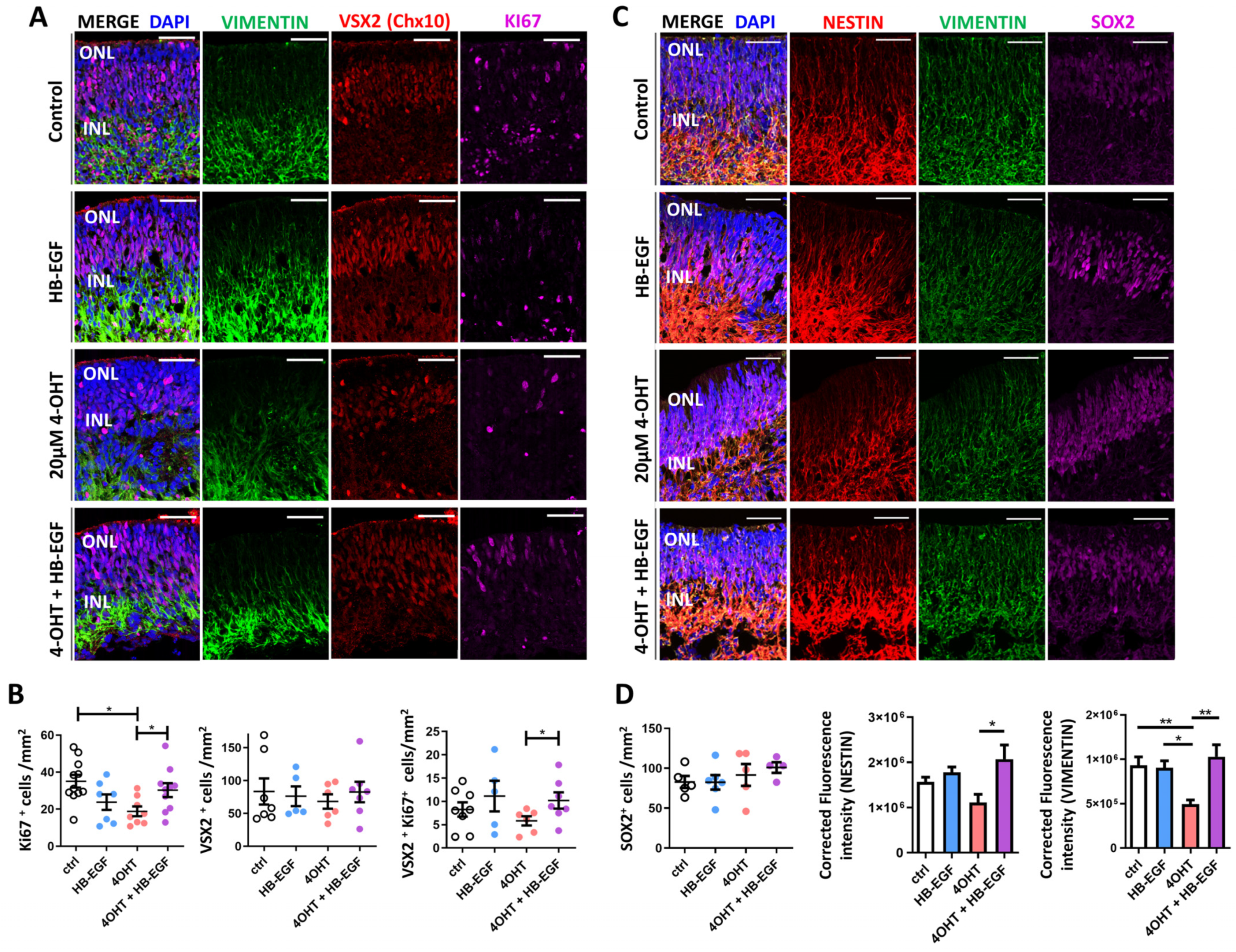 Organoids 03 00010 g005