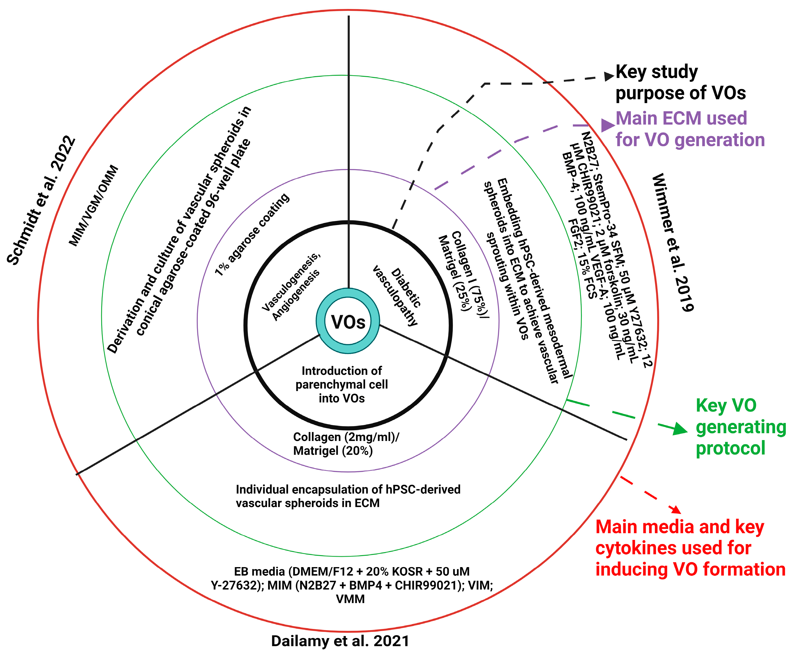 Organoids 03 00014 g001