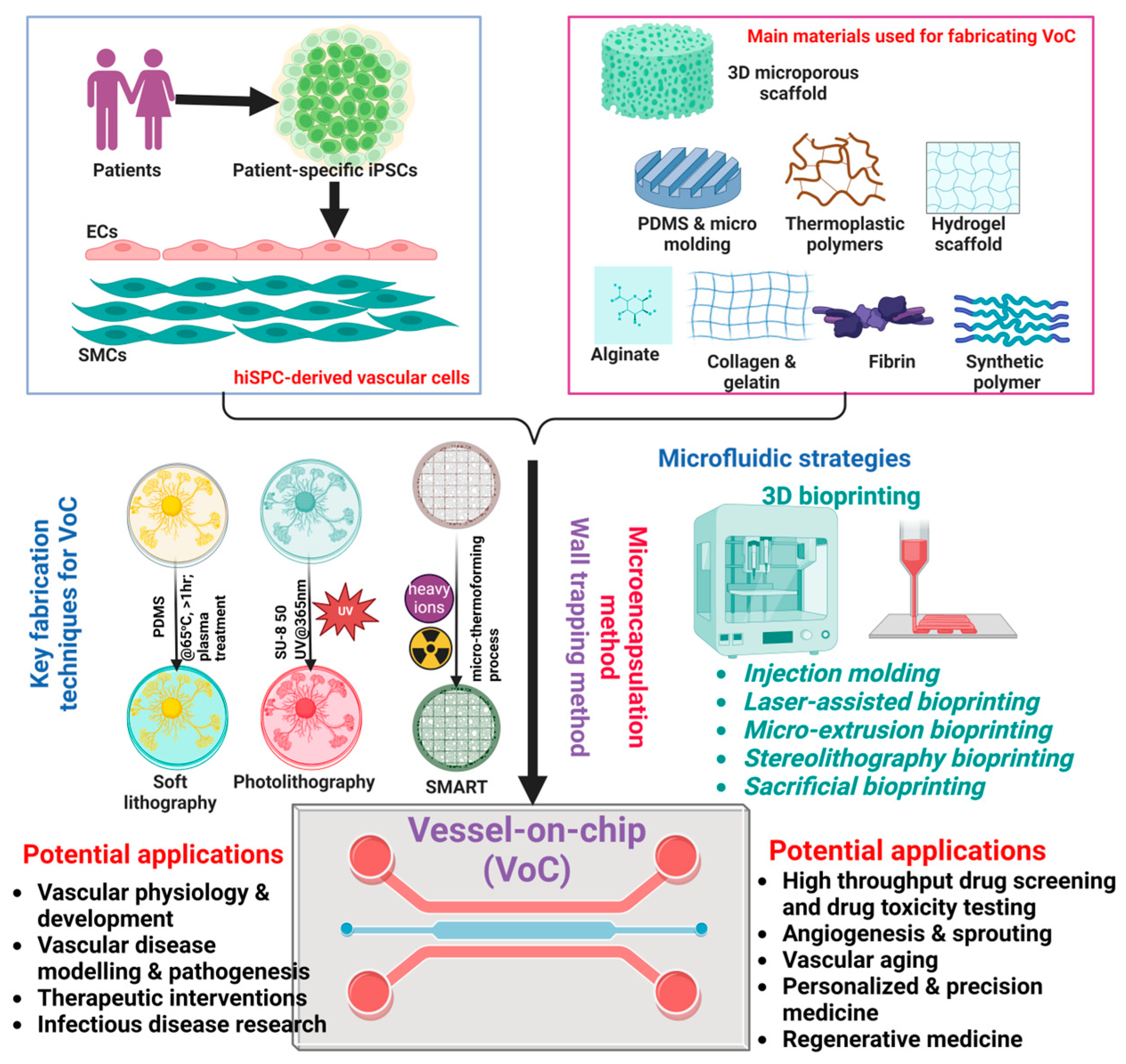 Organoids 03 00014 g003