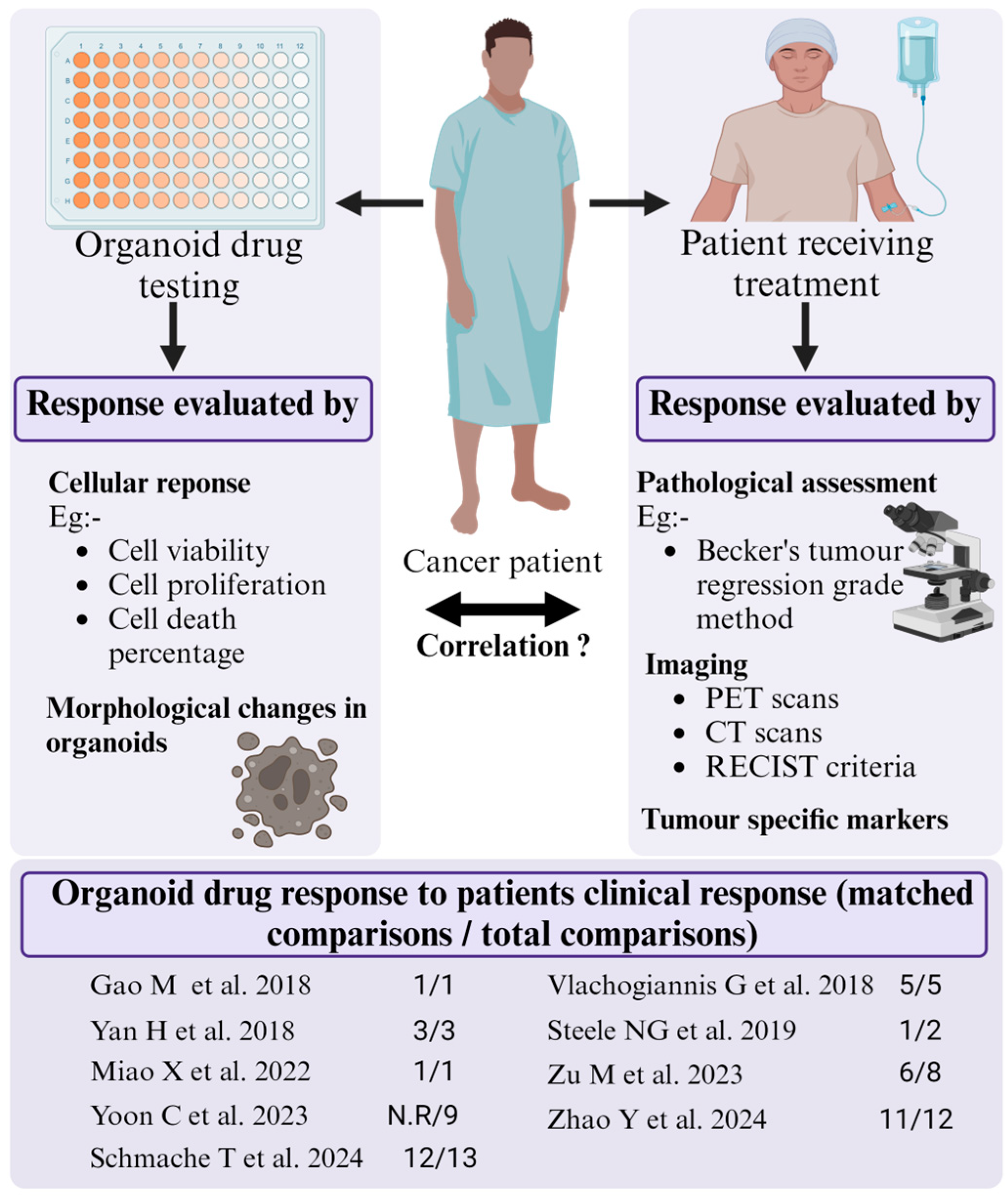 Organoids 03 00016 g002