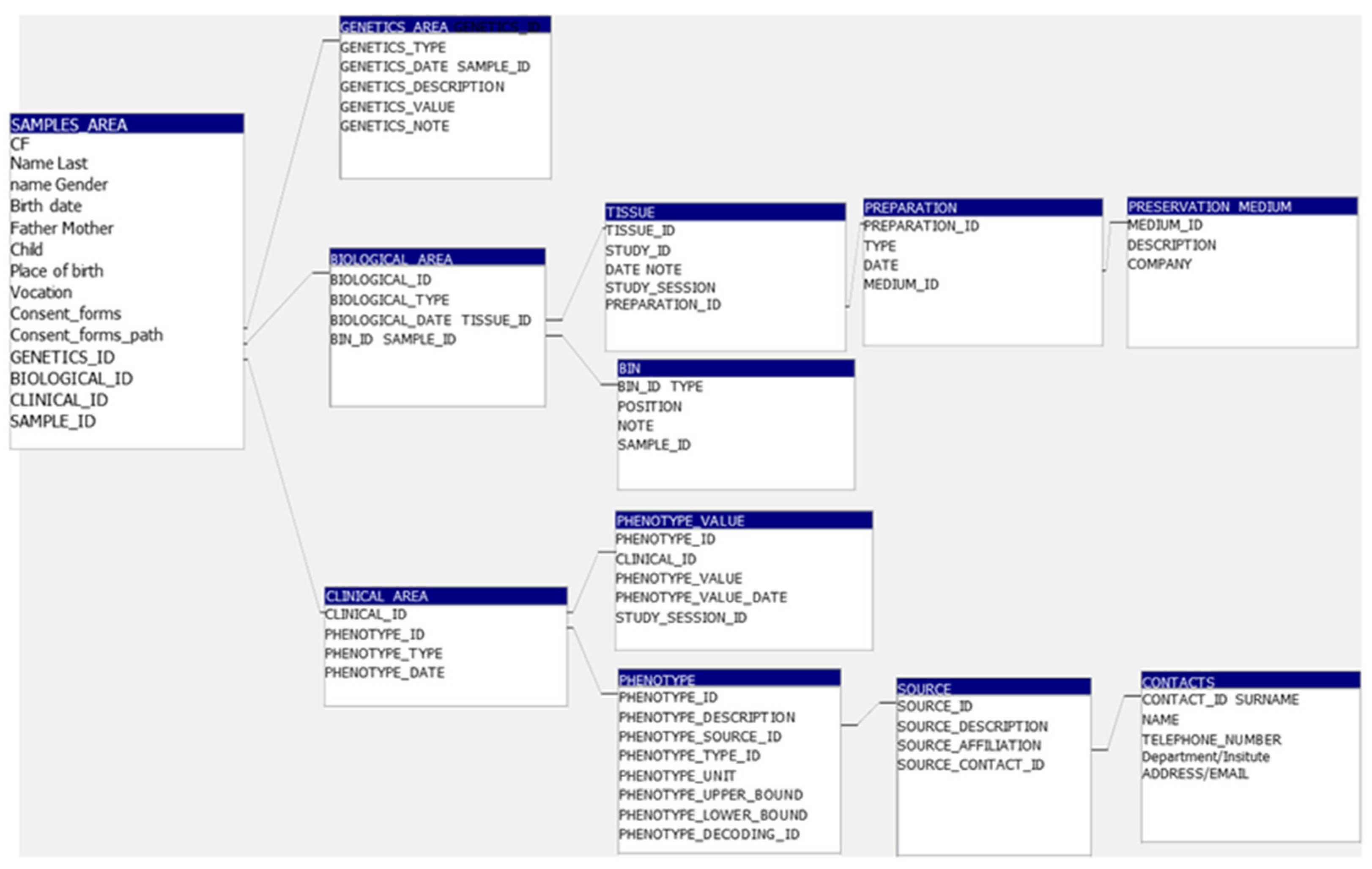 Organoids 04 00005 g006
