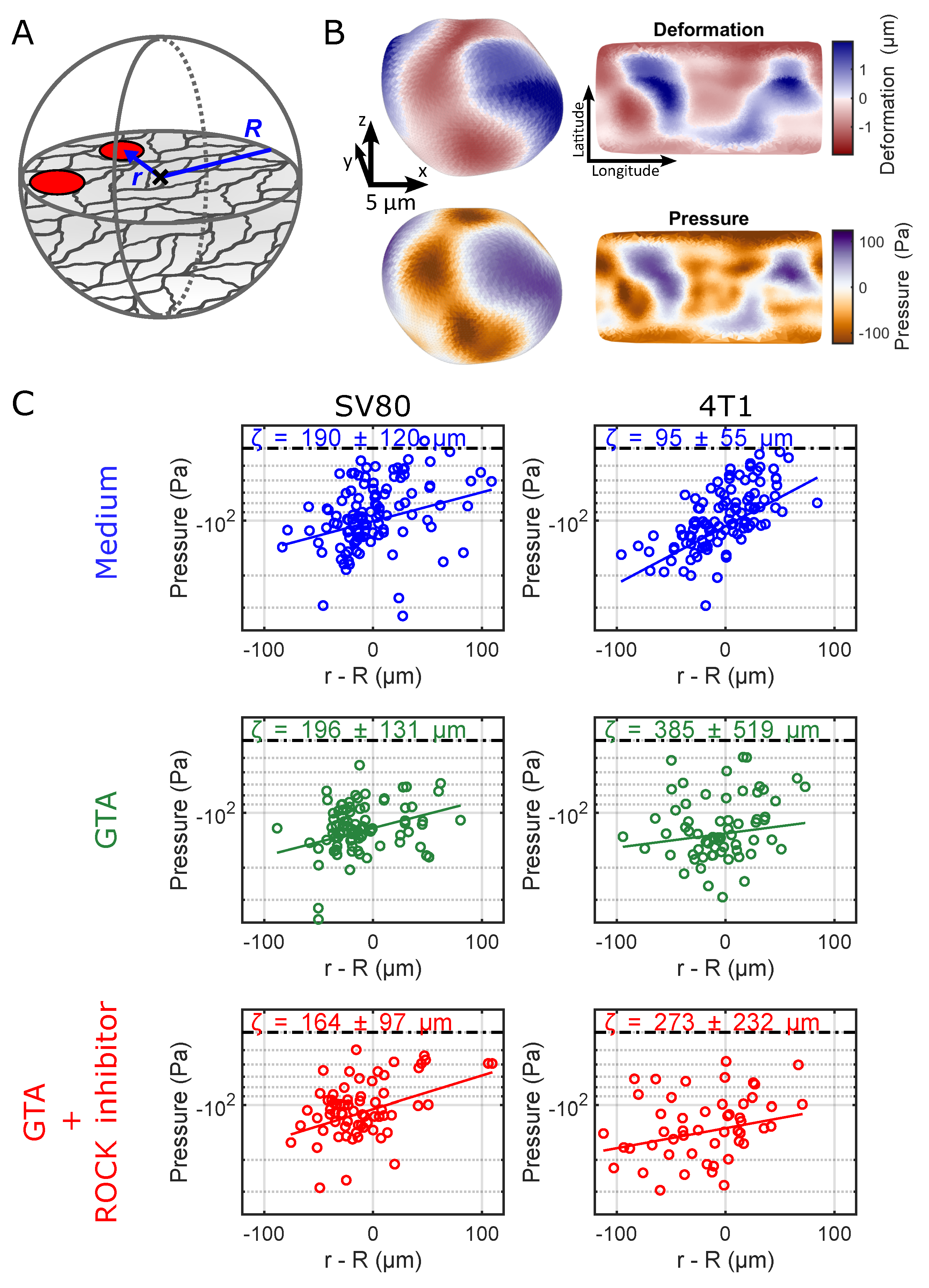 Organoids 04 00011 g004