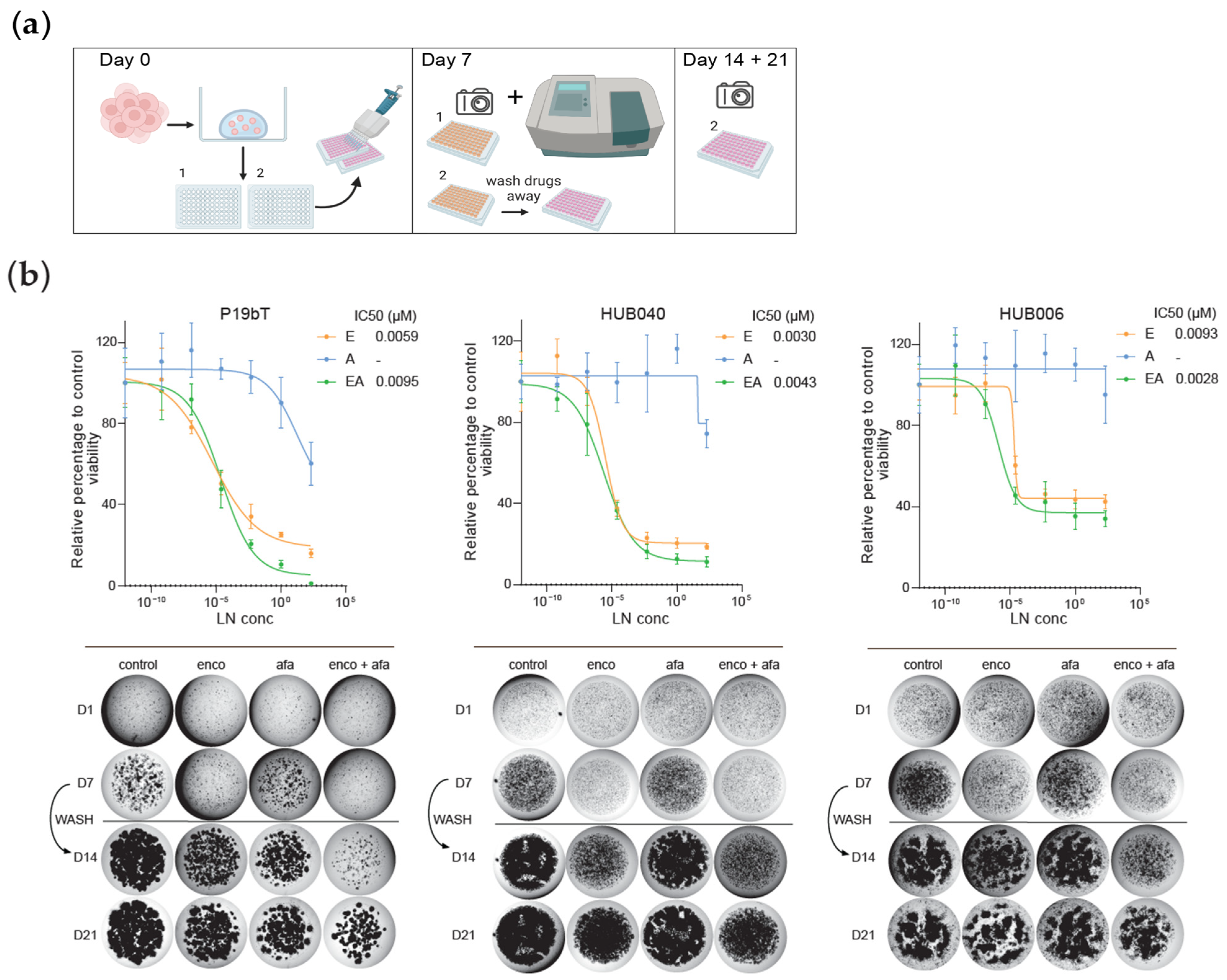 Organoids 04 00014 g001