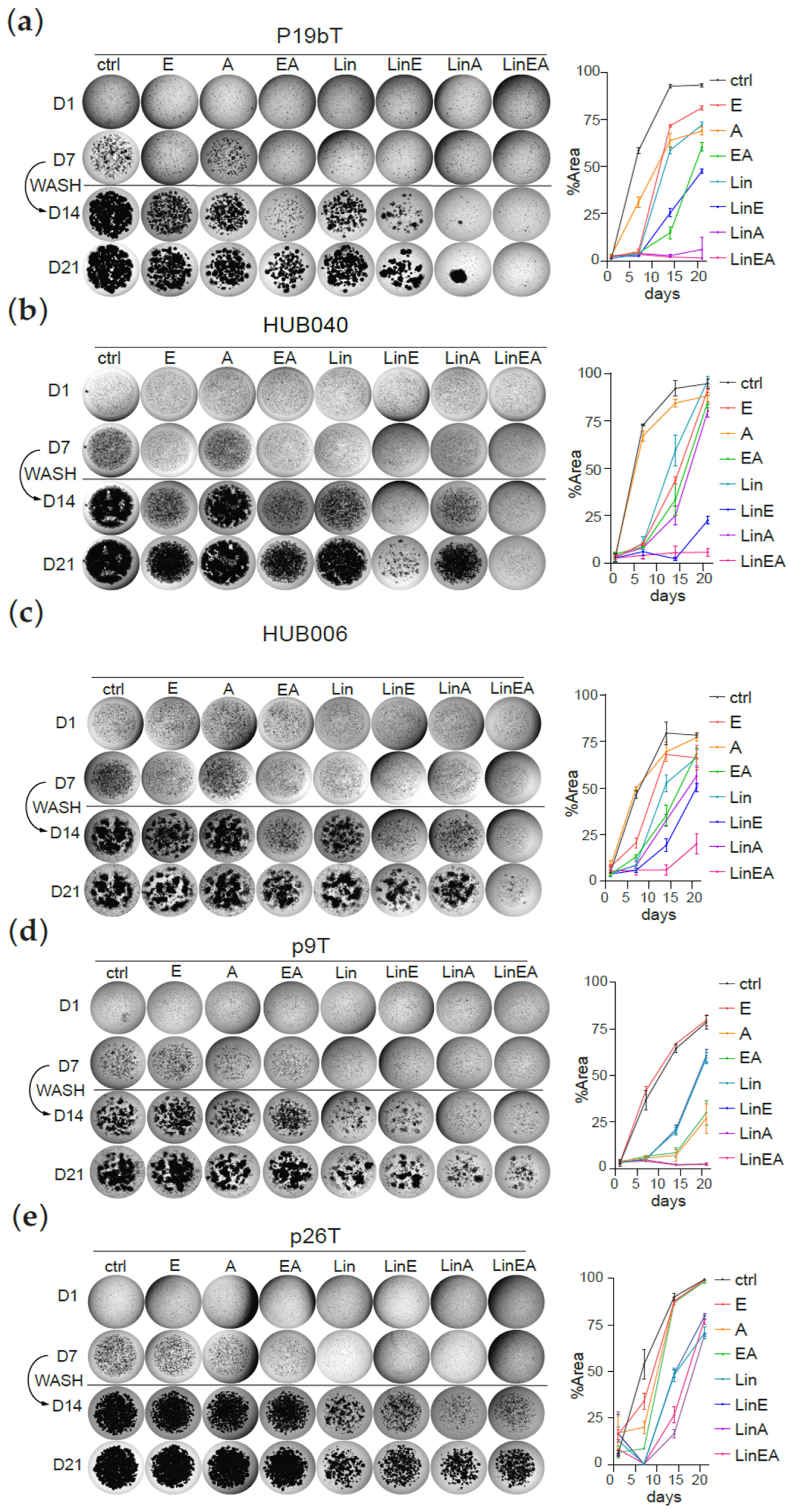 Organoids 04 00014 g003
