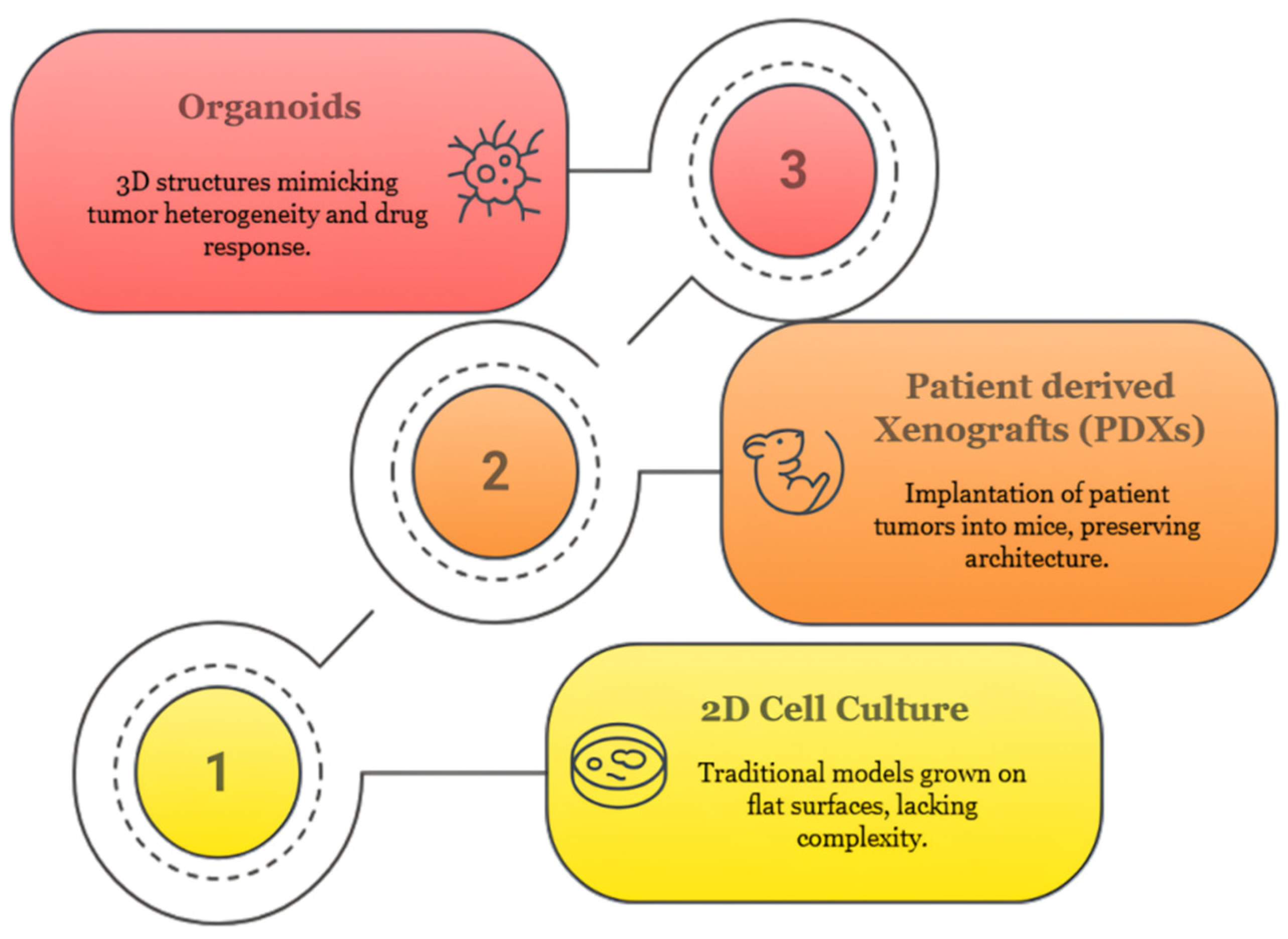 Organoids 04 00023 g001 Organoids 04 00023 g001