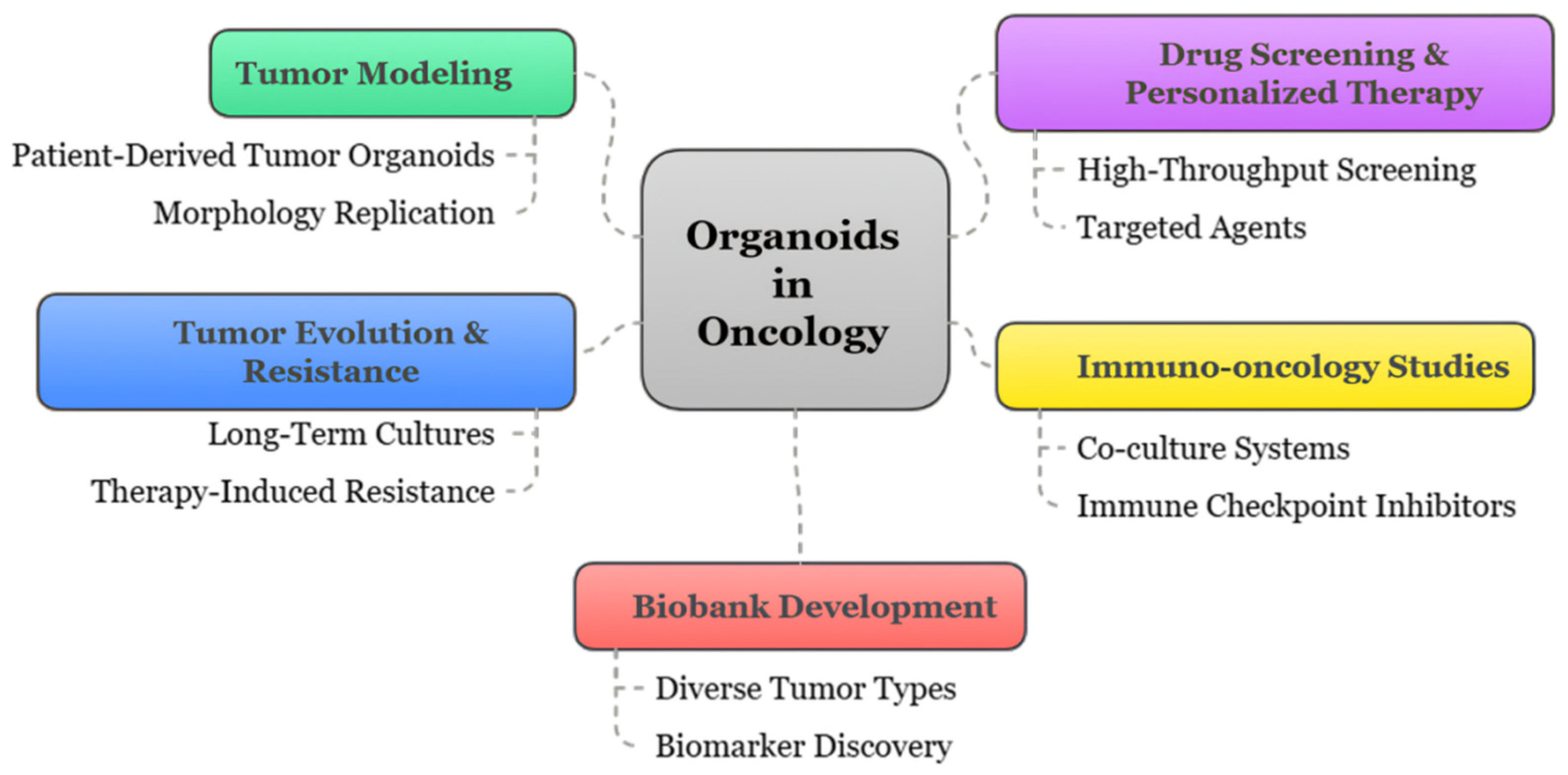 Organoids 04 00023 g002 Organoids 04 00023 g002