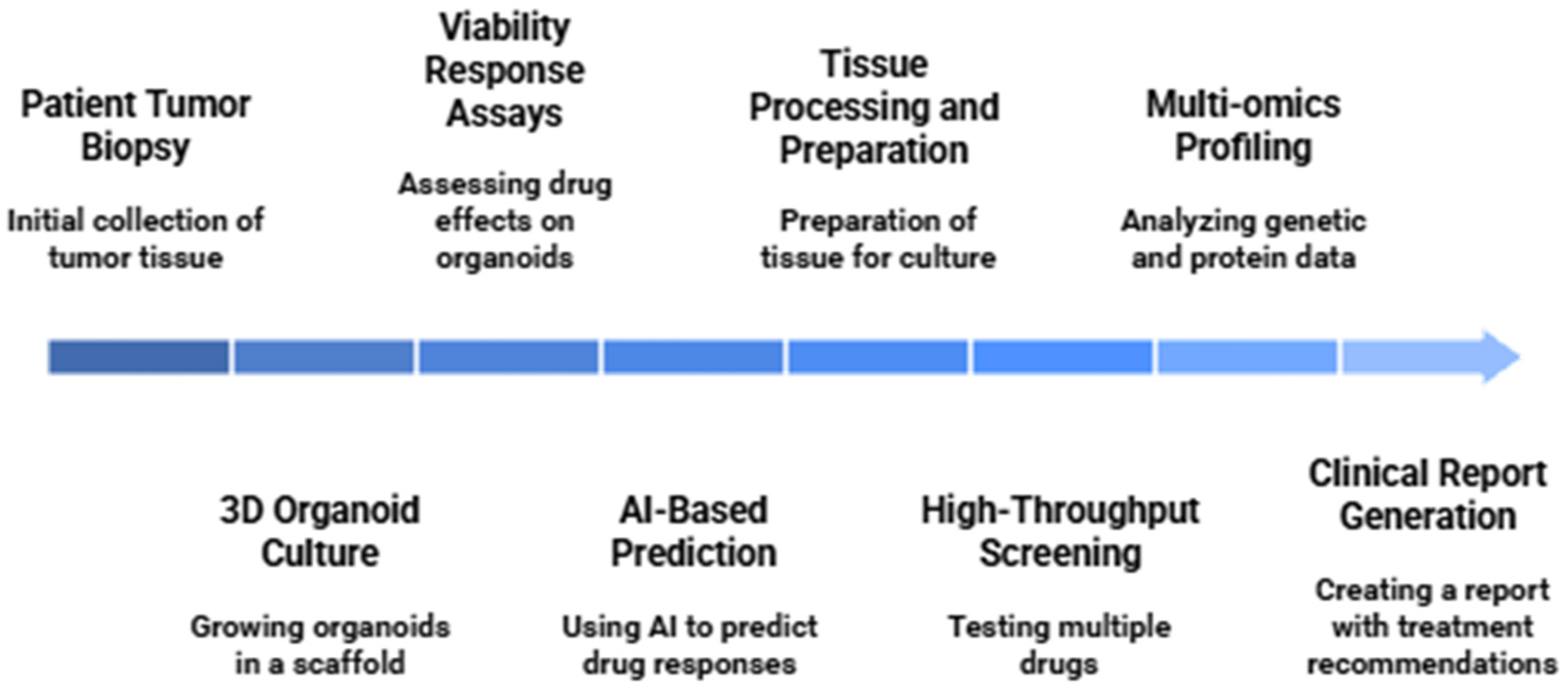 Organoids 04 00023 g005 Organoids 04 00023 g005