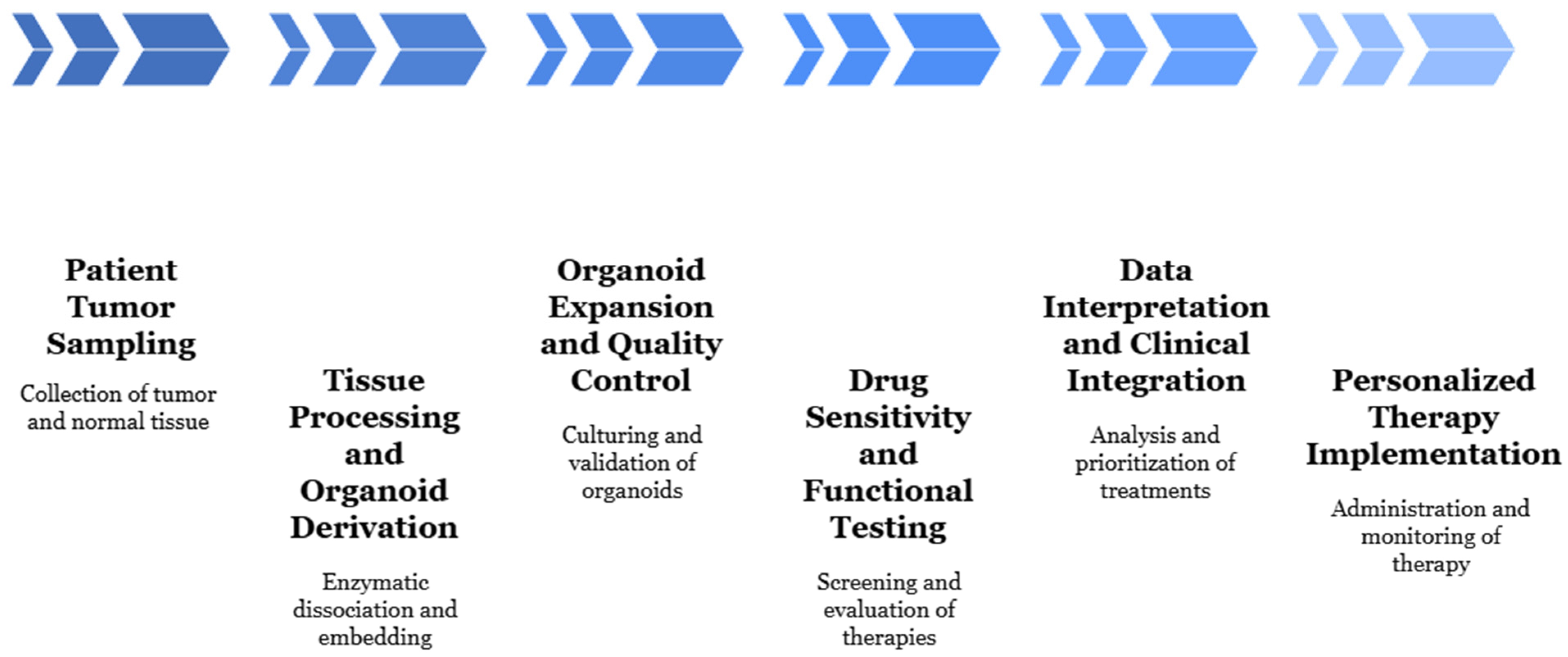 Organoids 04 00023 g006 Organoids 04 00023 g006