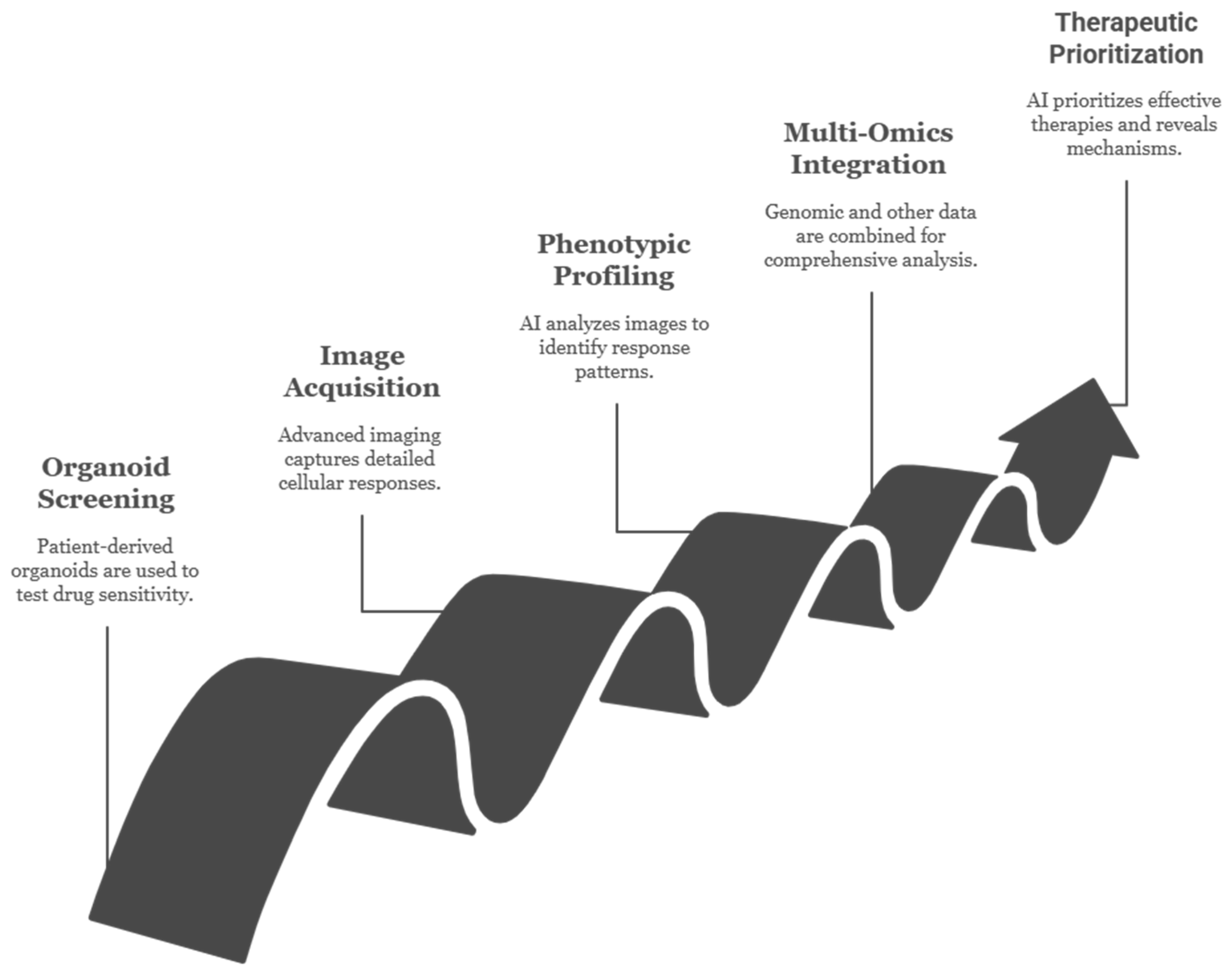 Organoids 04 00023 g009 Organoids 04 00023 g009
