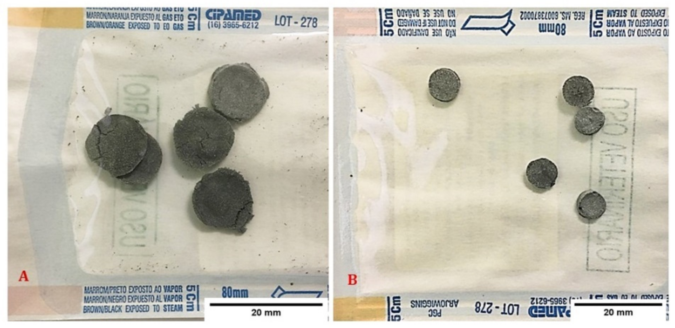 Osteology 01 00013 g001