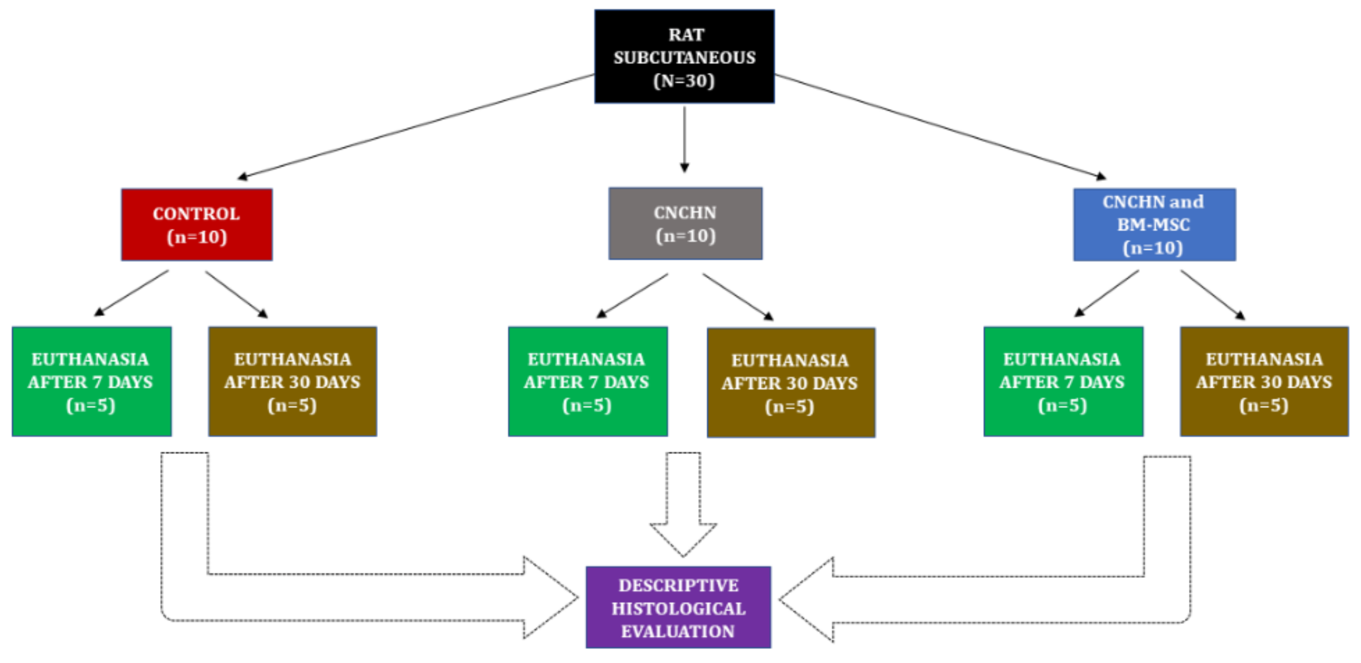 Osteology 01 00013 g002