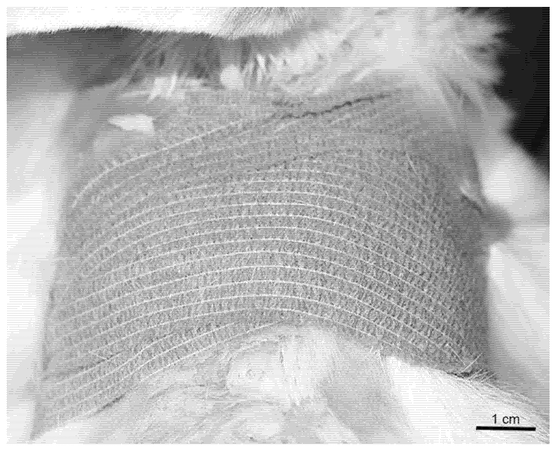 Osteology 01 00021 g003 550