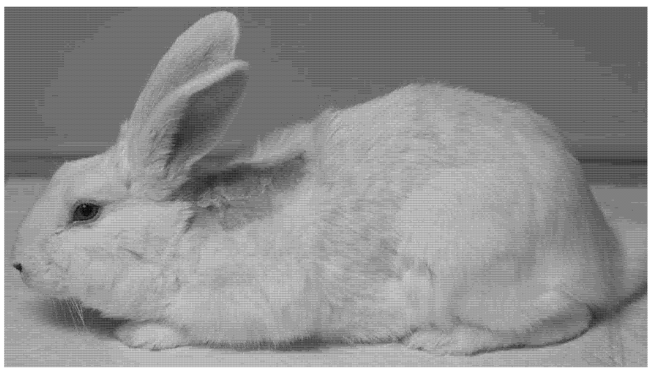 Osteology 01 00021 g005 550