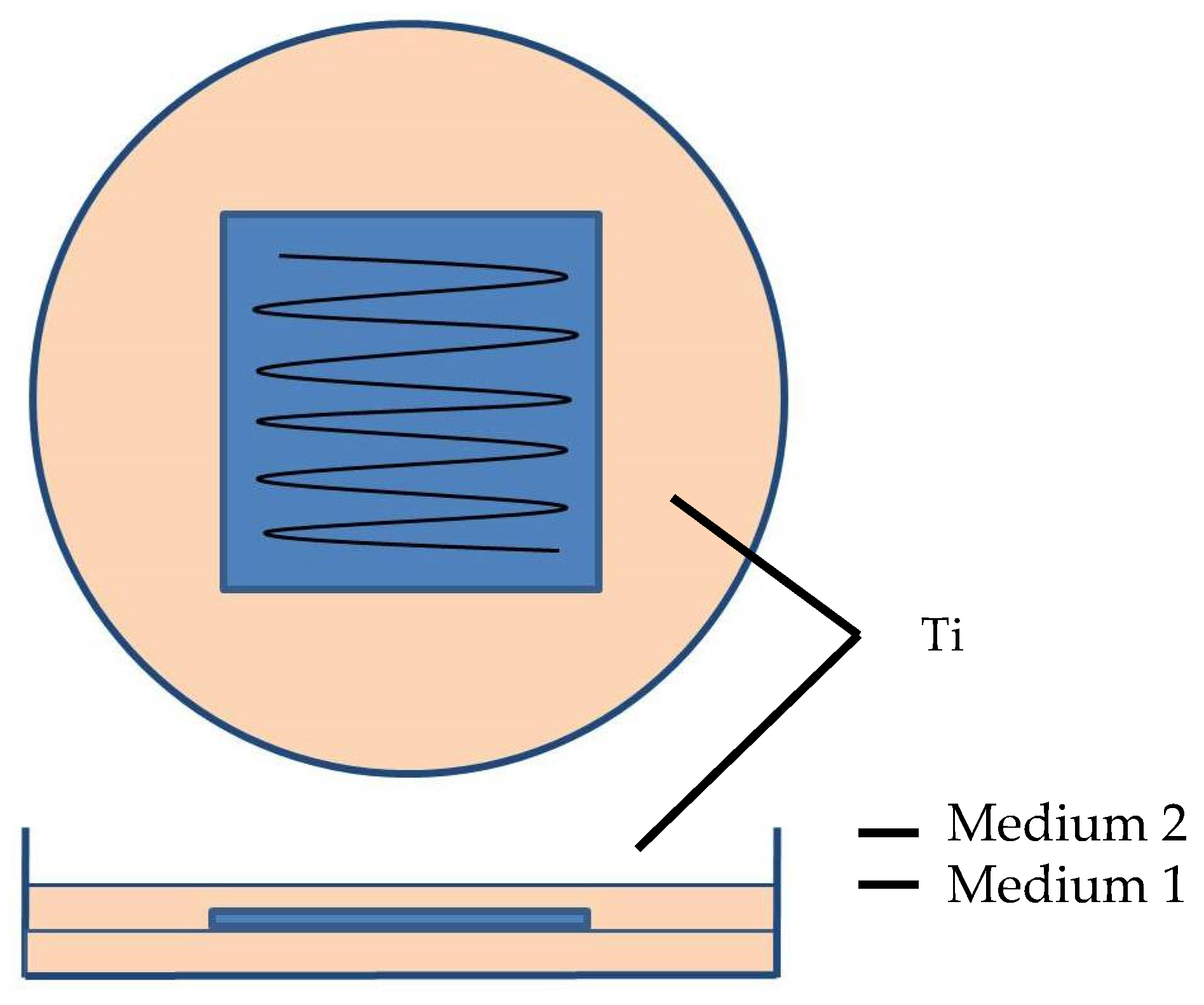 Osteology 01 00022 g001