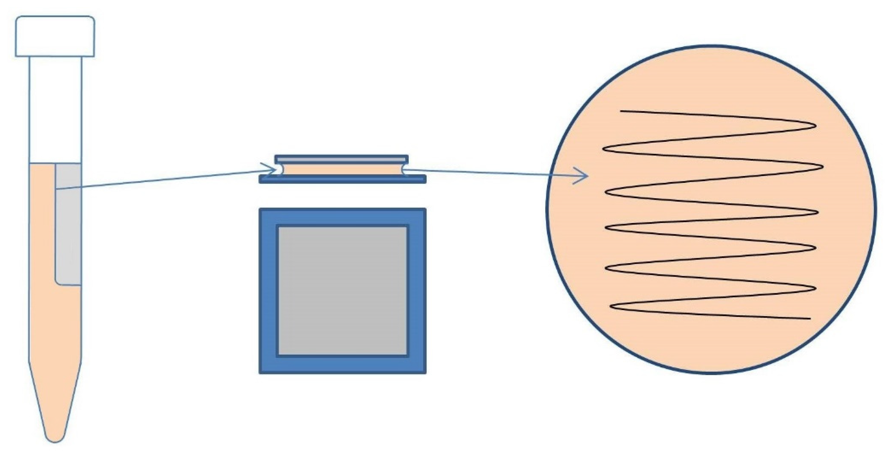 Osteology 01 00022 g002