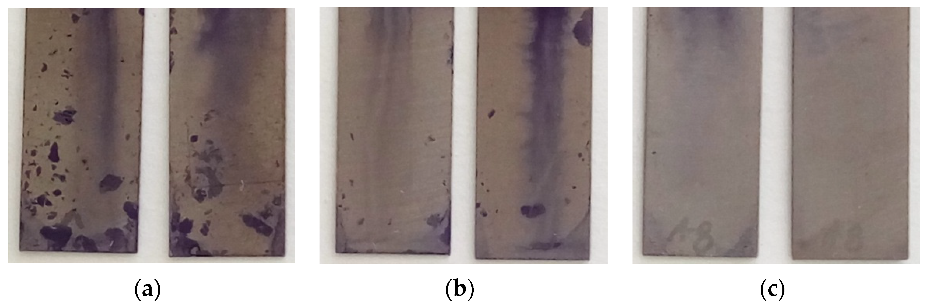 Osteology 01 00022 g003